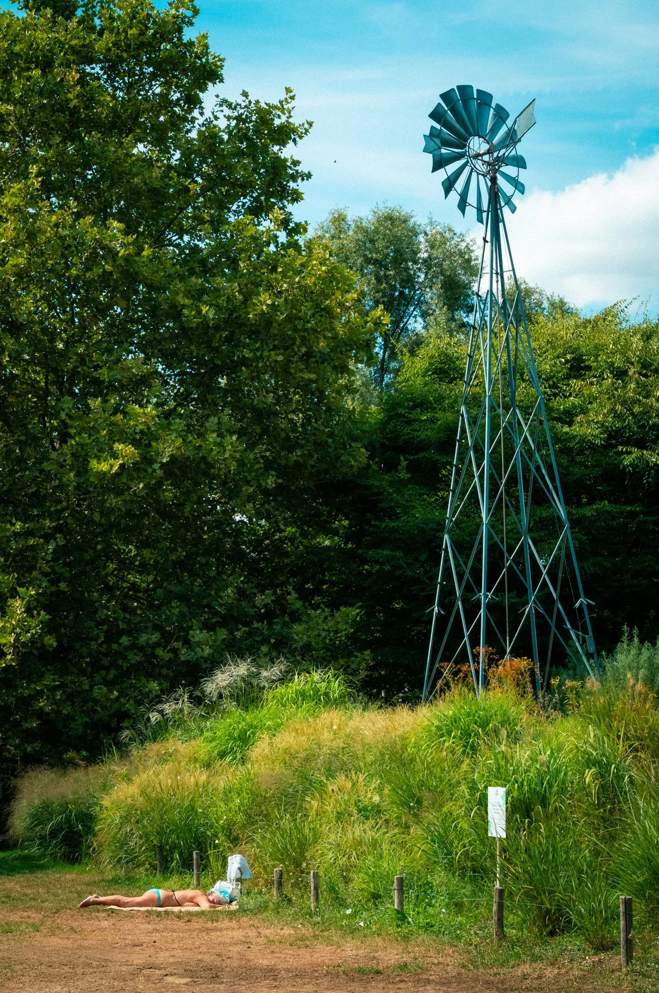 L1003755.jpg