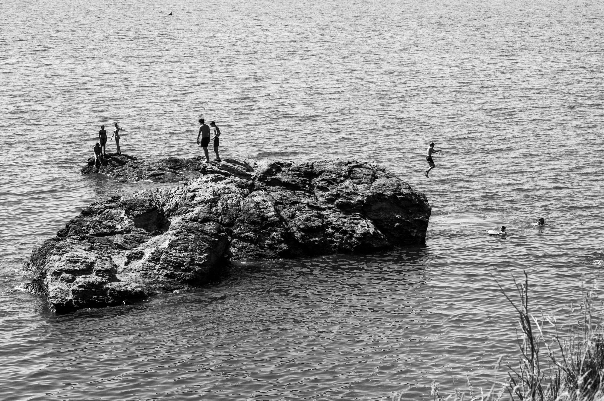 L1003898.jpg