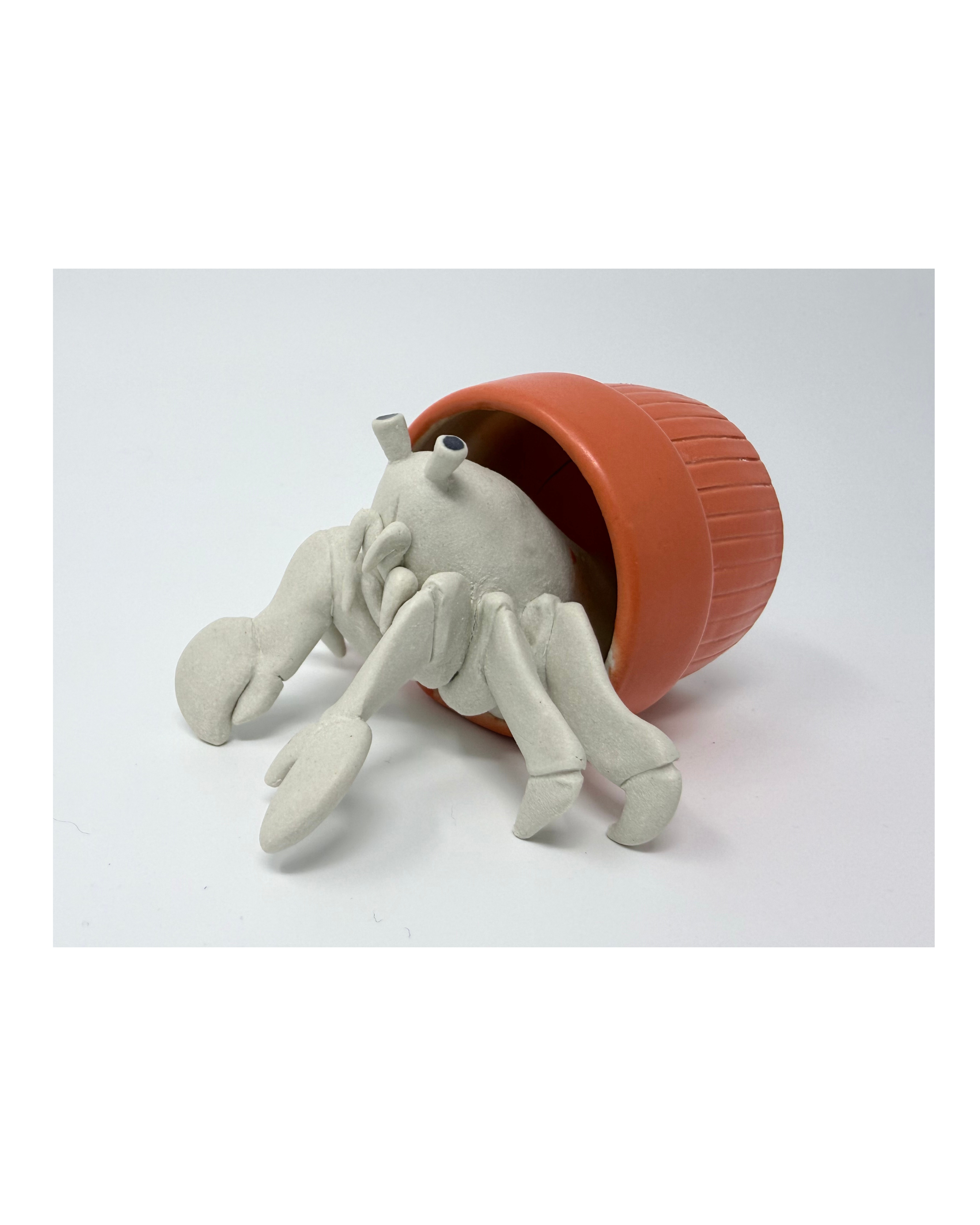 Hermit Crab Adaptation (orange)