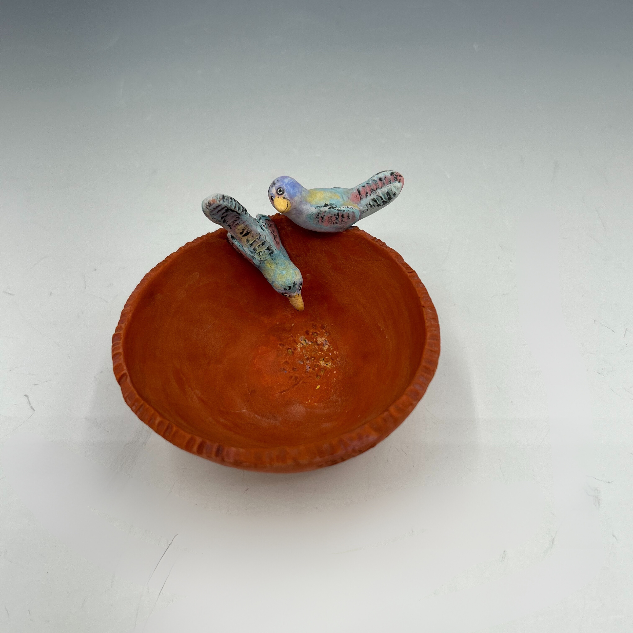 Bird Bowl