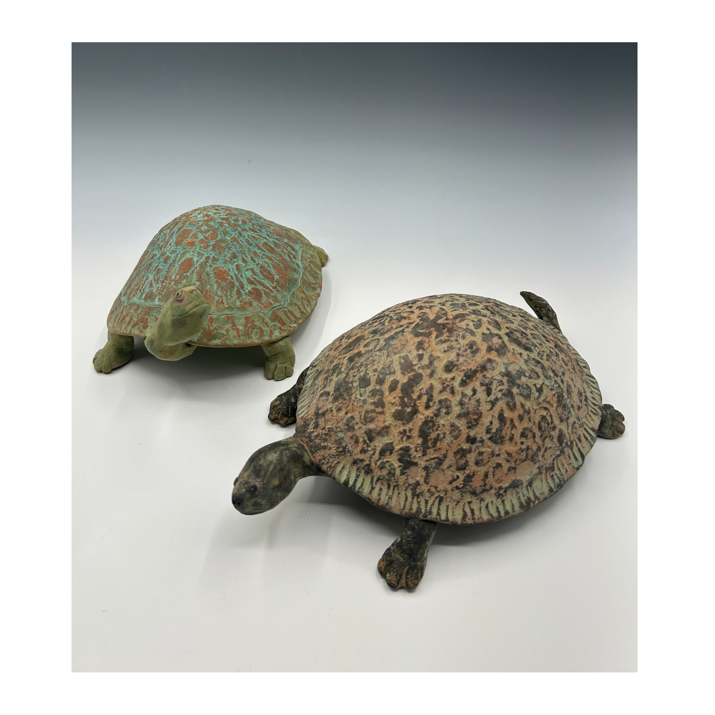 Turtles (1).png