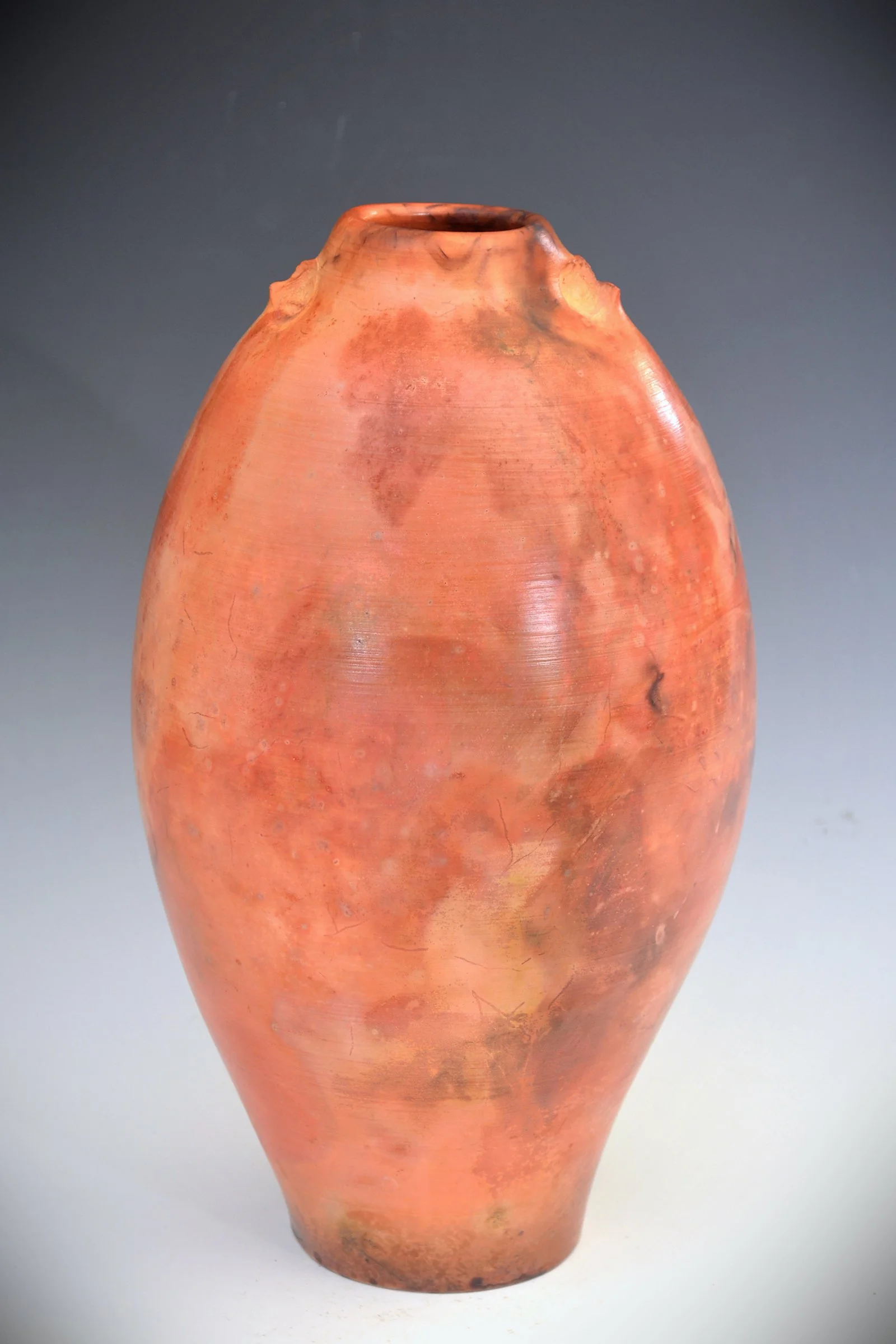 #10. Lascaux III - Fossil Series - Saggar-fired Vase - view 2.jpg