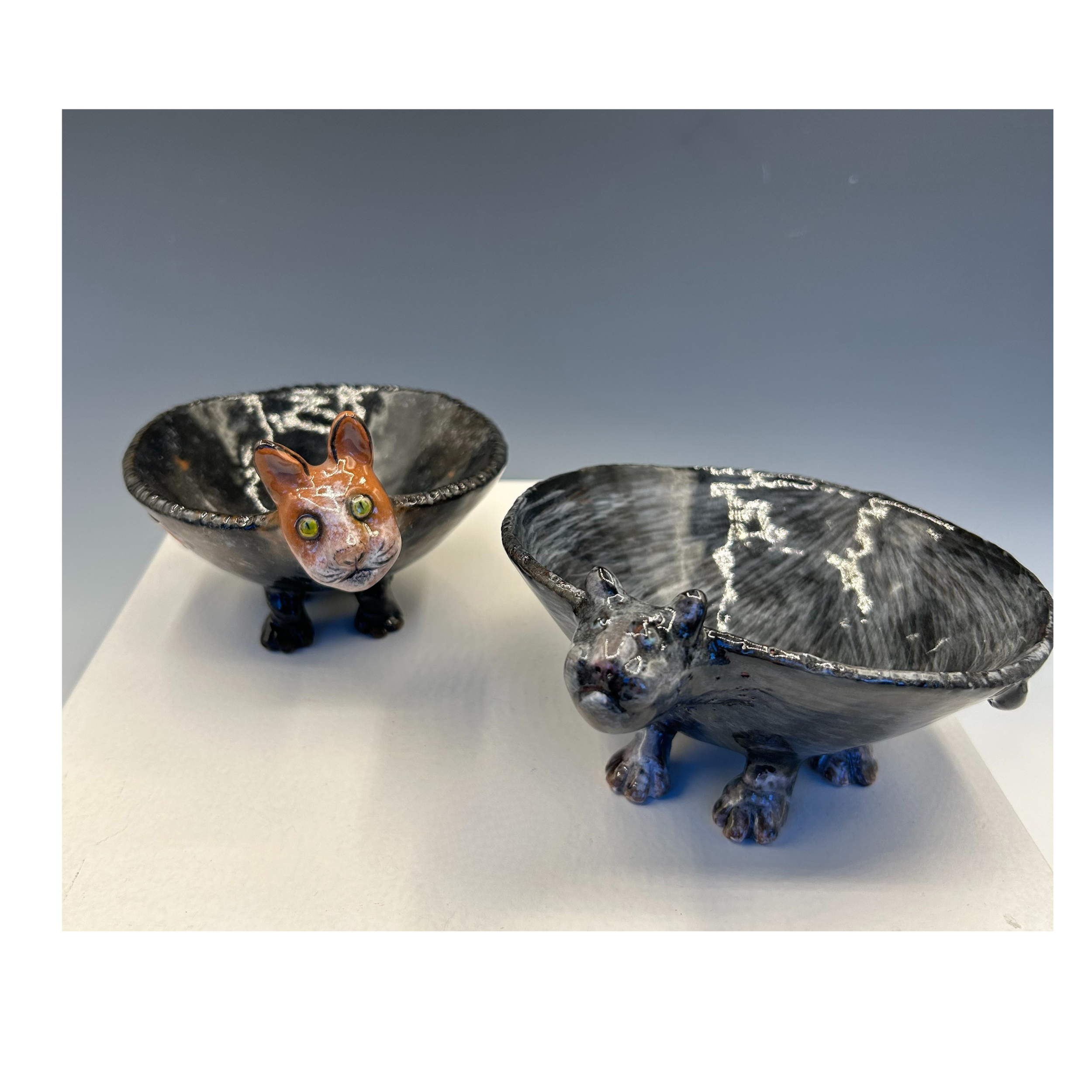 Cat Bowls.png
