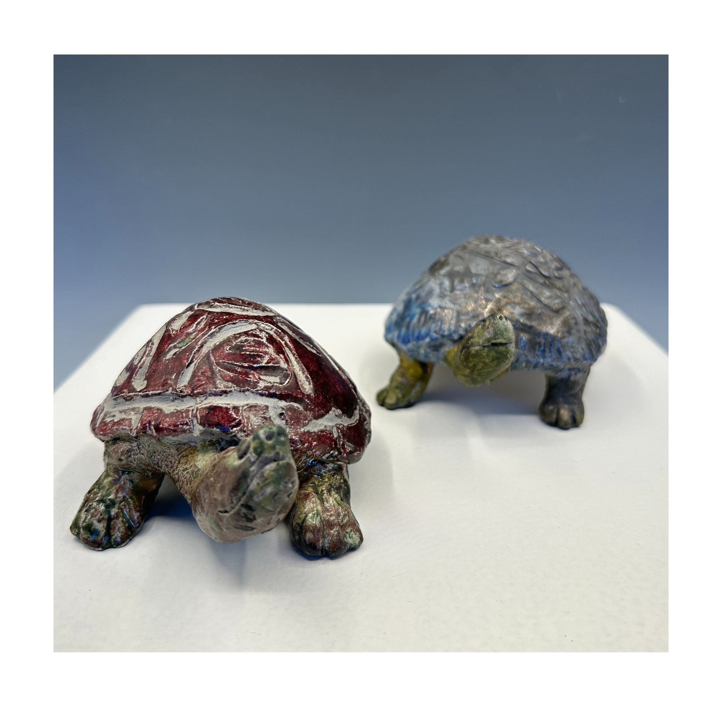 Small Turtles.png