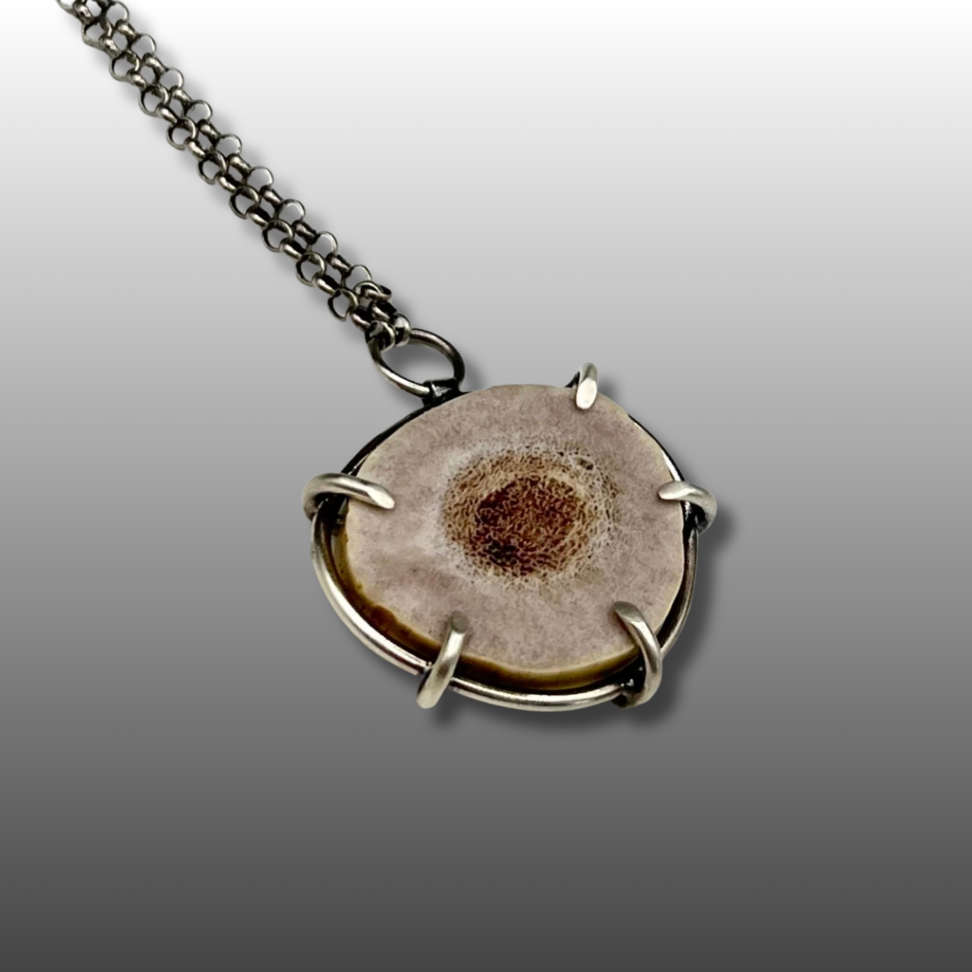 Deer Antler Slice Necklace