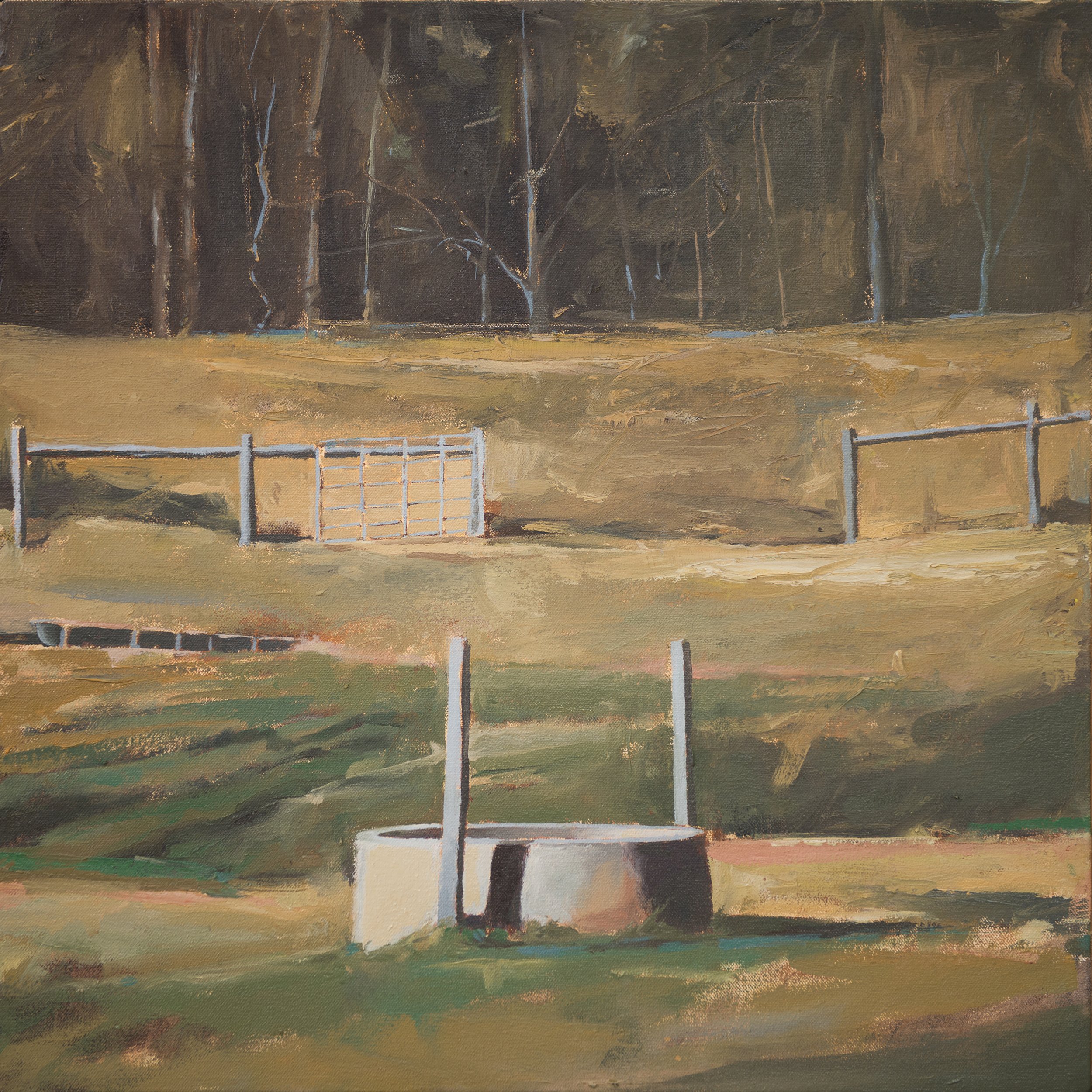Arrington Farm: Cattle Trough