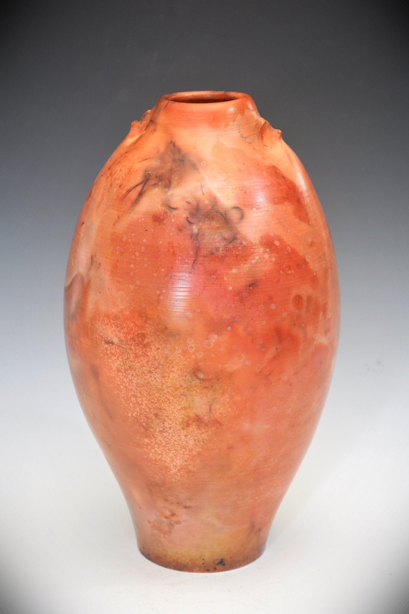 #10. Lascaux III - Fossil Series -Saggar-fired Vase.jpg