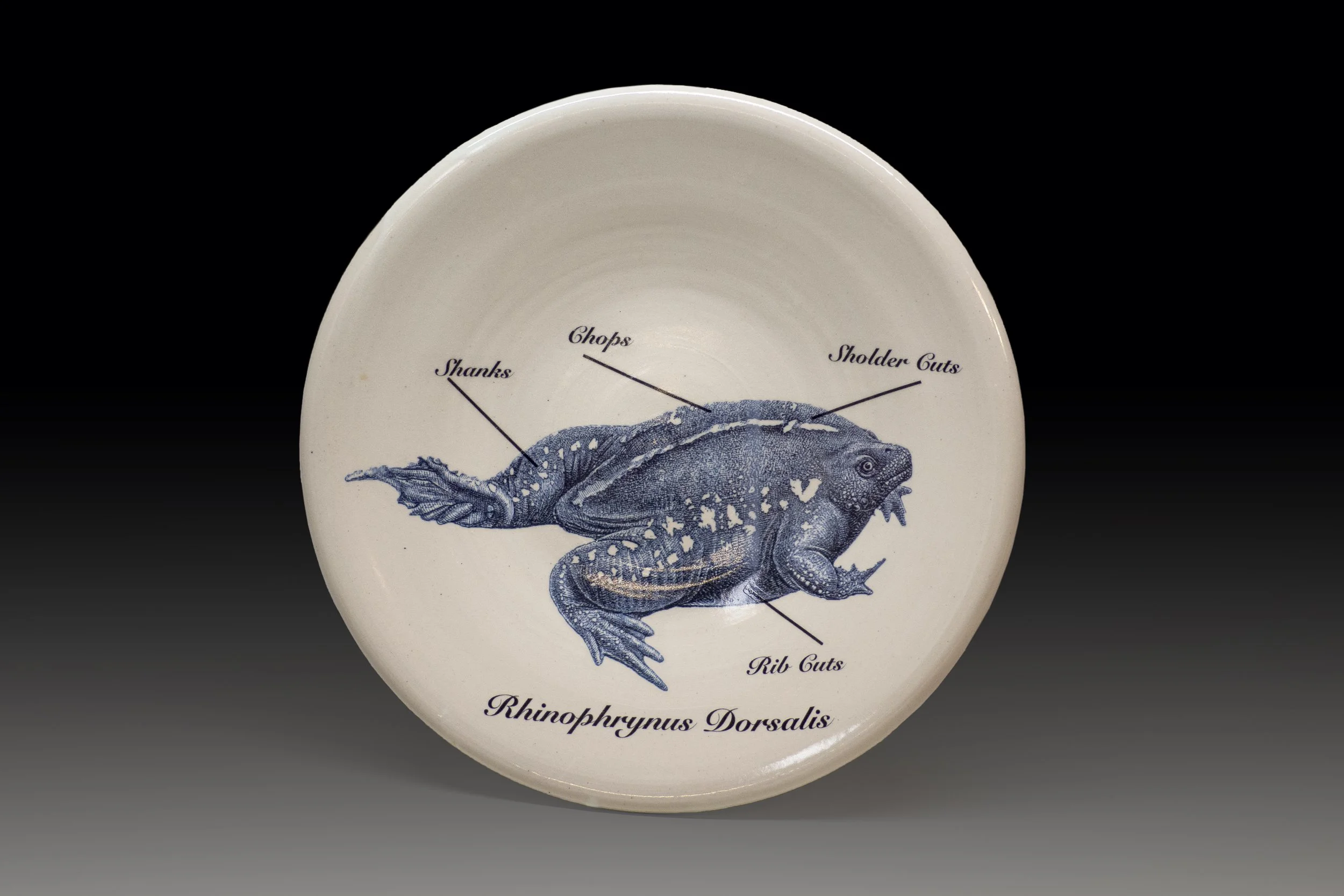 Blue Toad plate Rev.jpg