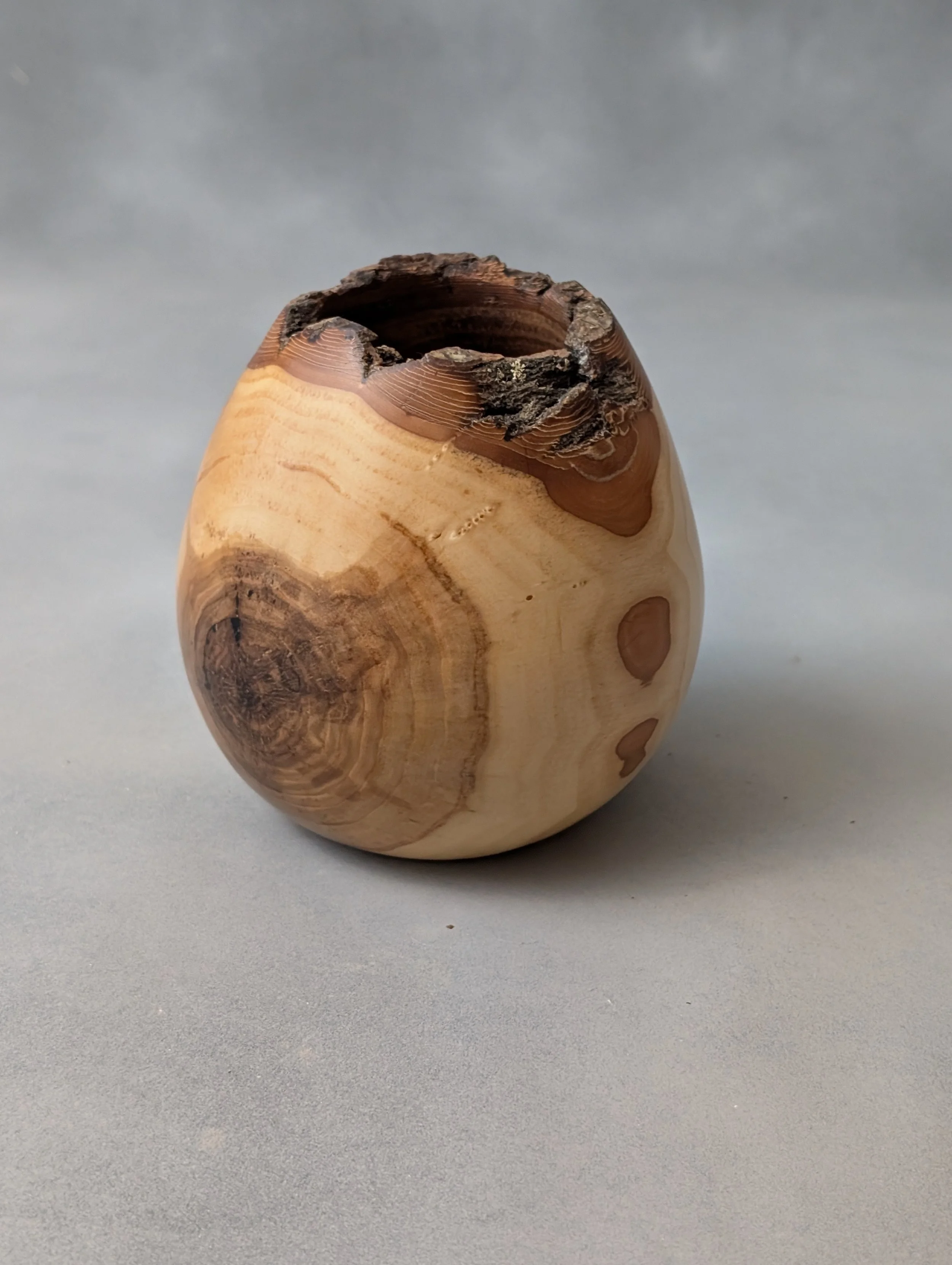 Willow Natural edged Vase