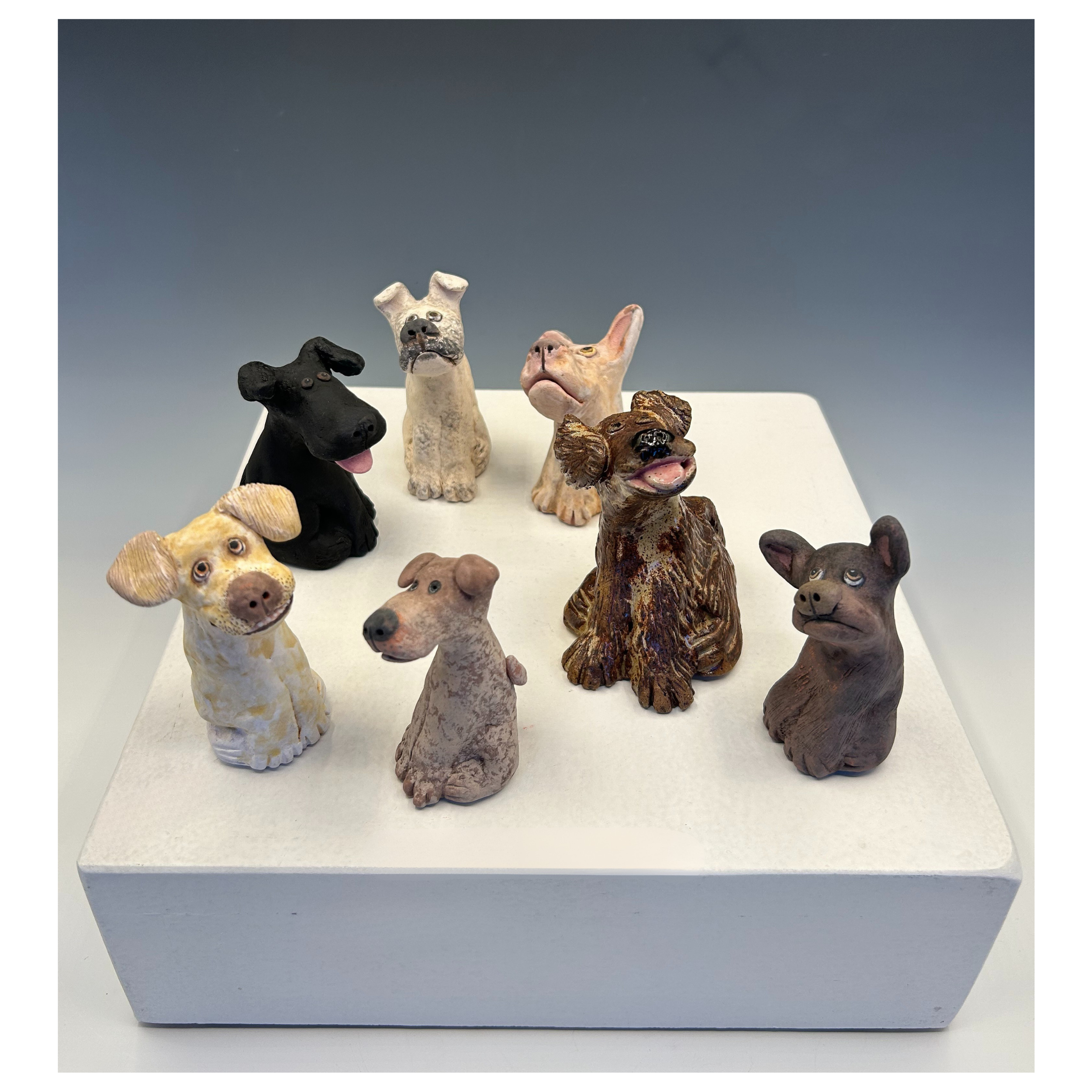 Selection of small Dogs.png