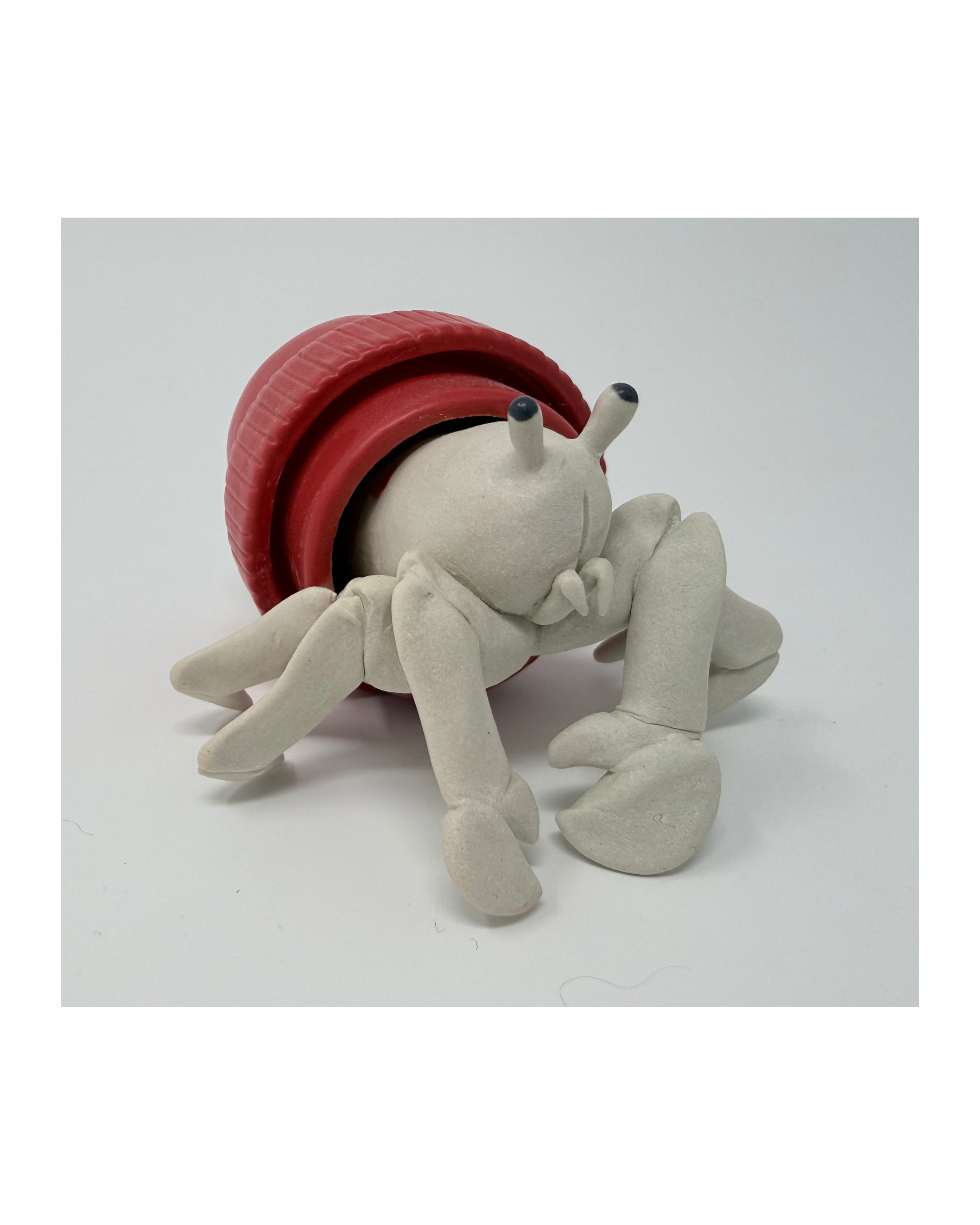 Hermit Crab Adaptation (Big Red)