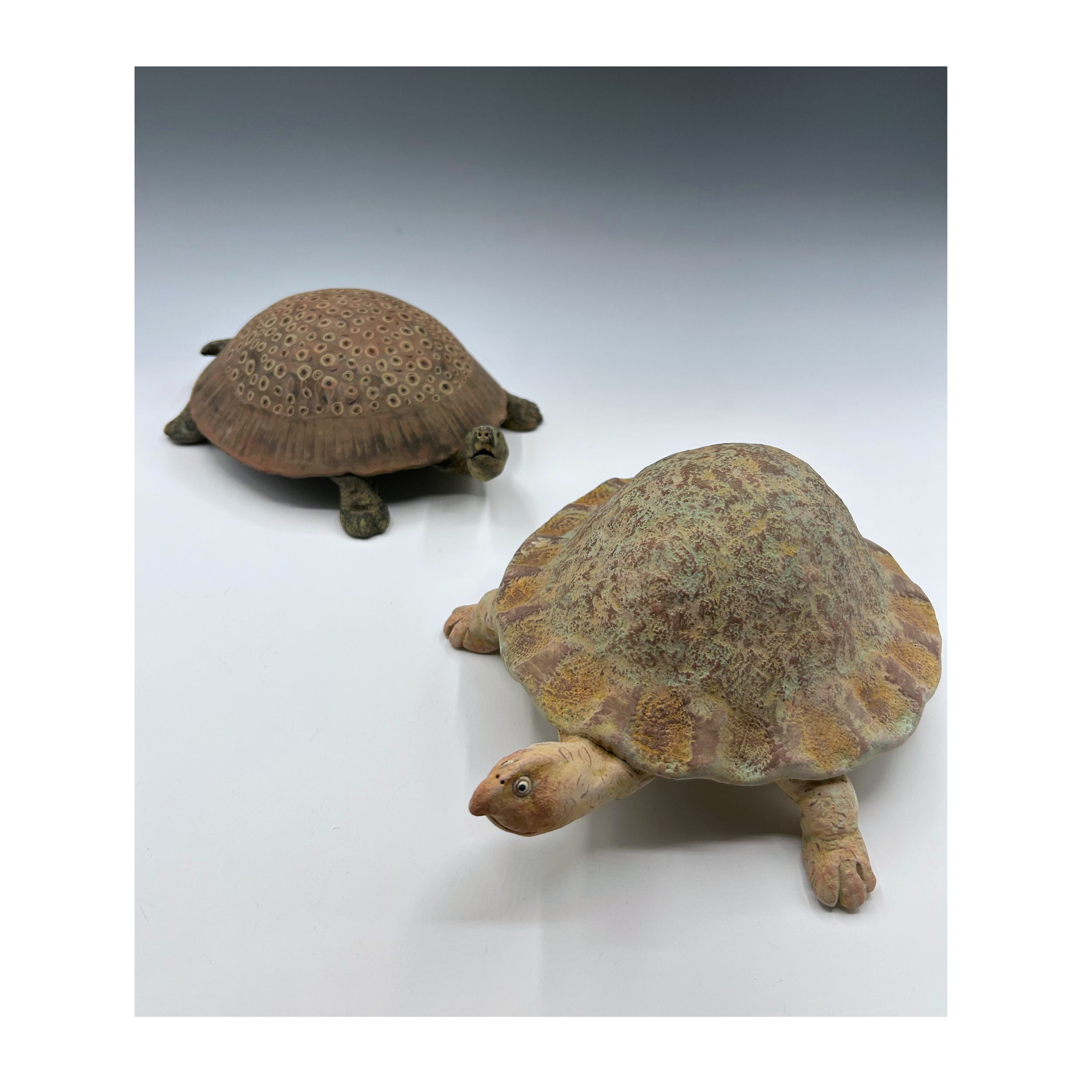 Turtles (1).png