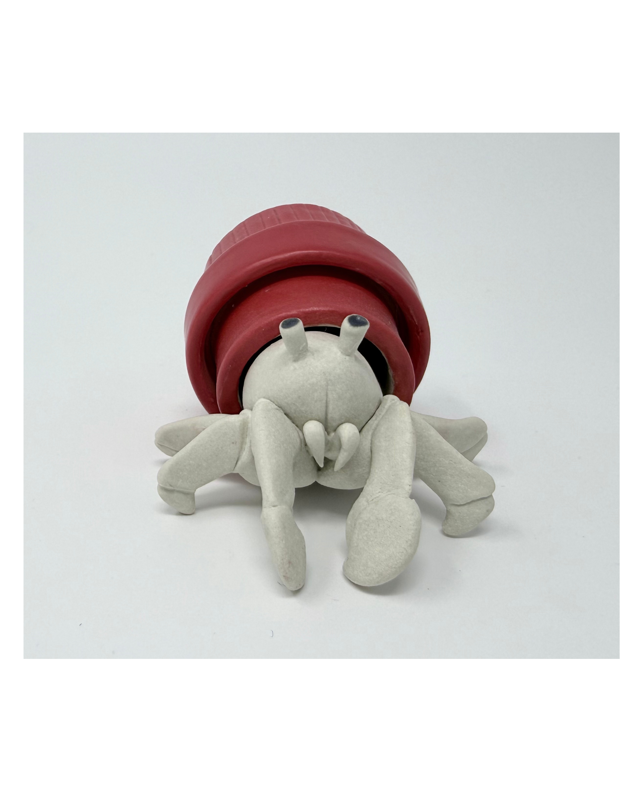 Hermit Crab Adaptation (Baby Red)