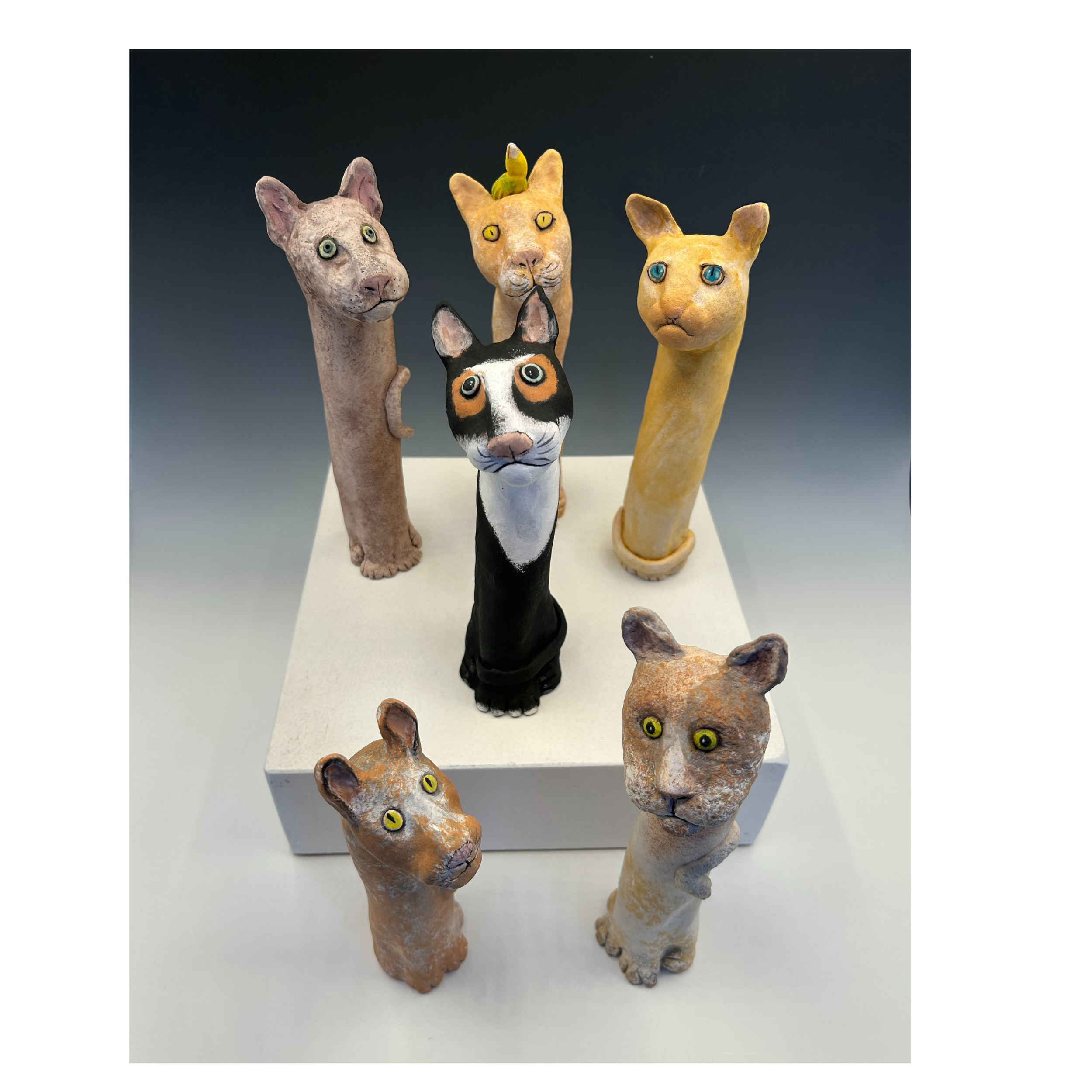 Tall Cats (1).png