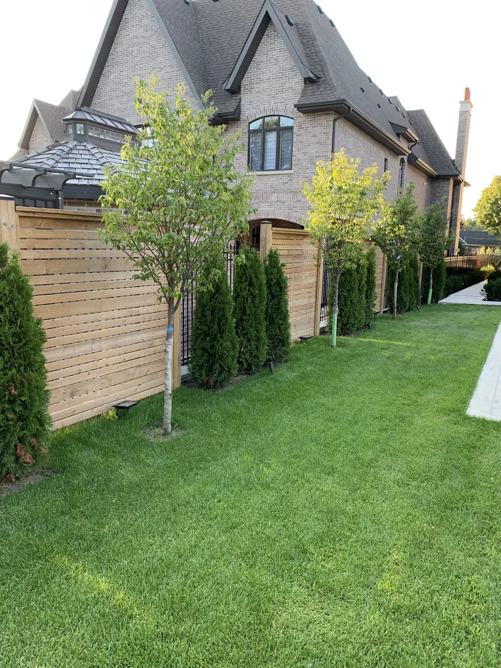 Horizontal cedar privacy fence with new sod and trees along a side yard