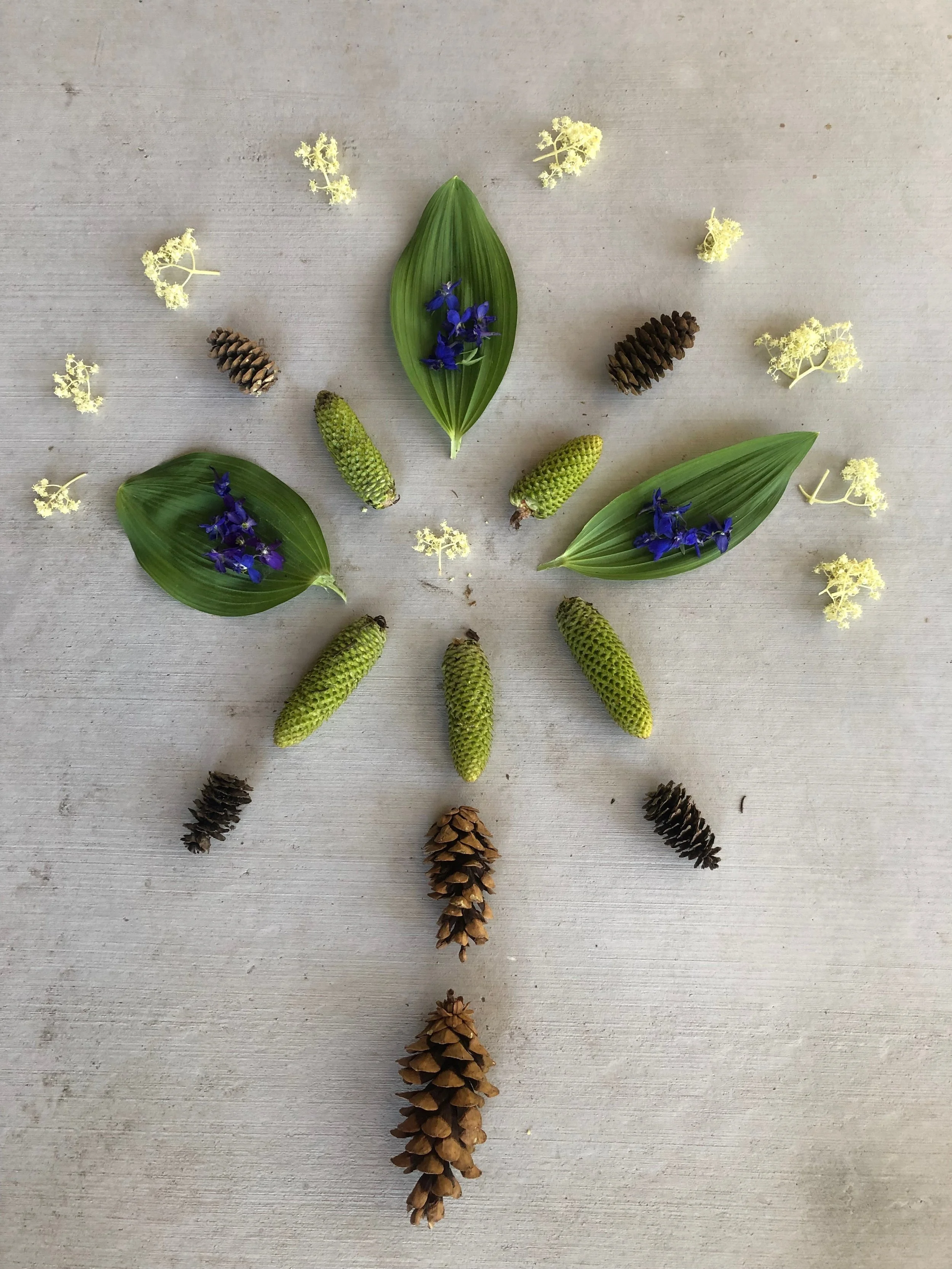 The answer my friend is blowing in the wind