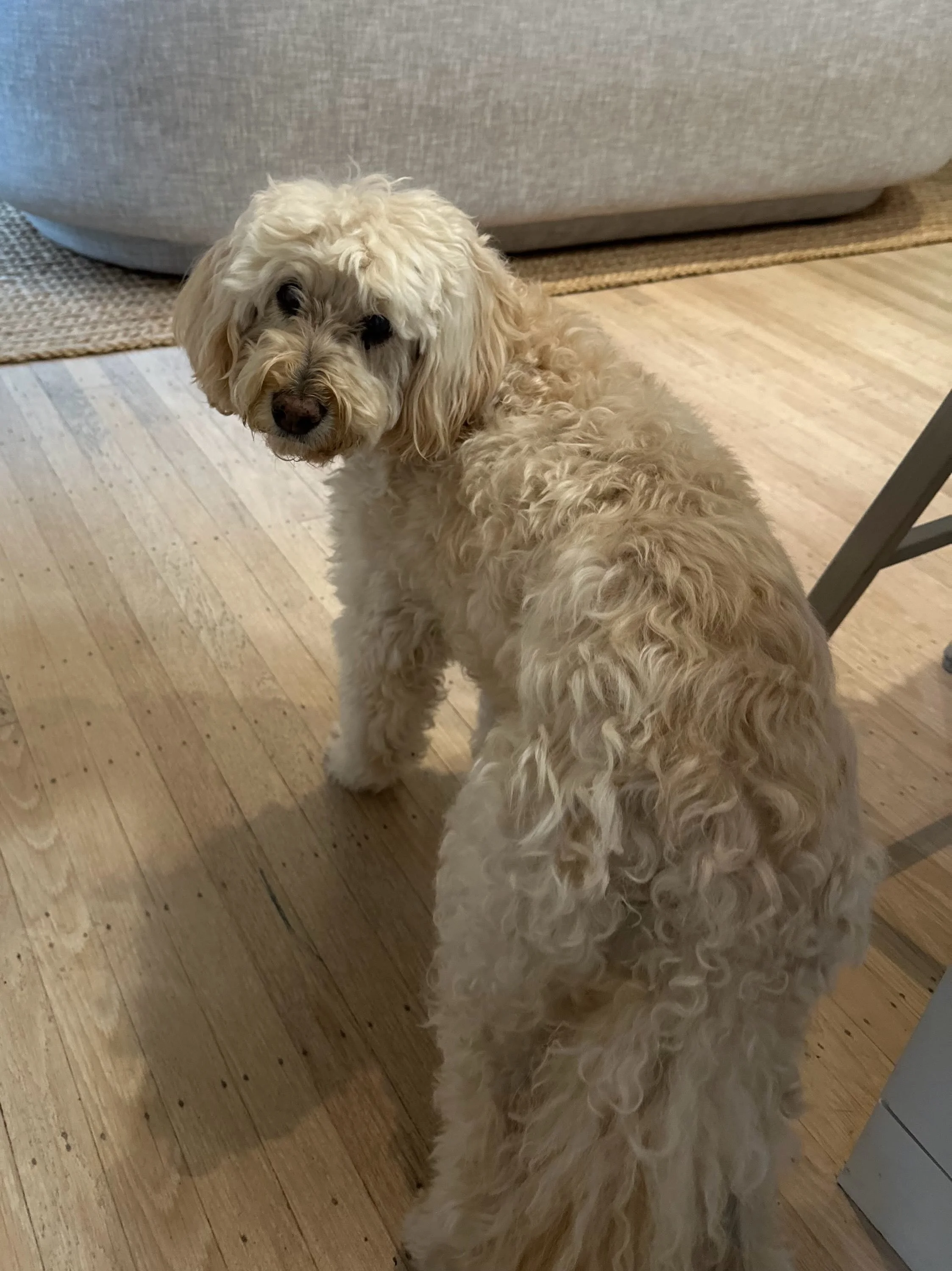 You are in, You are not in. 