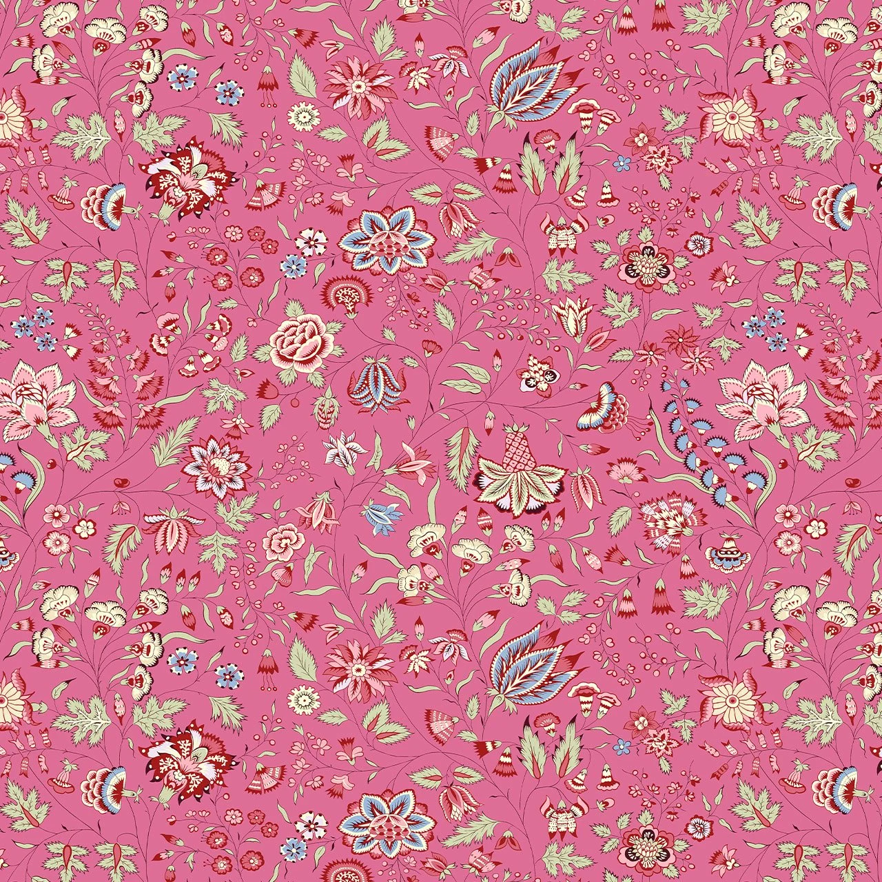 DHER1025 - RASPBERRY