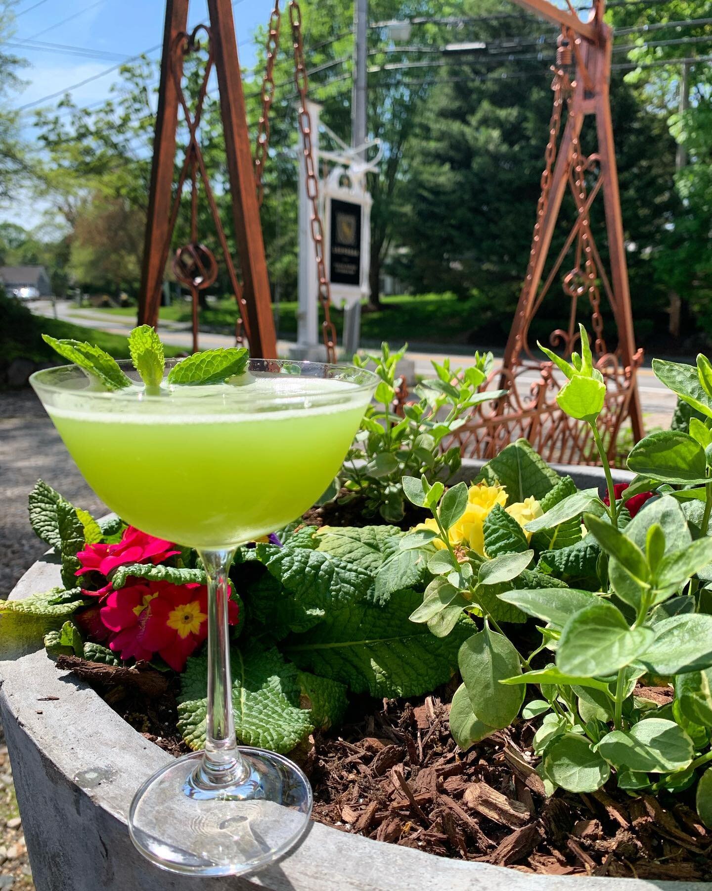 Cheers to the beautiful weather! Featuring the Cucumber Spring Waltz with Chopin Vodka, Lillet, Lemon, and House Made Cucumber Syrup. #happymothersdayweekend #beautiful #springhassprung #yarmouthport #capecod