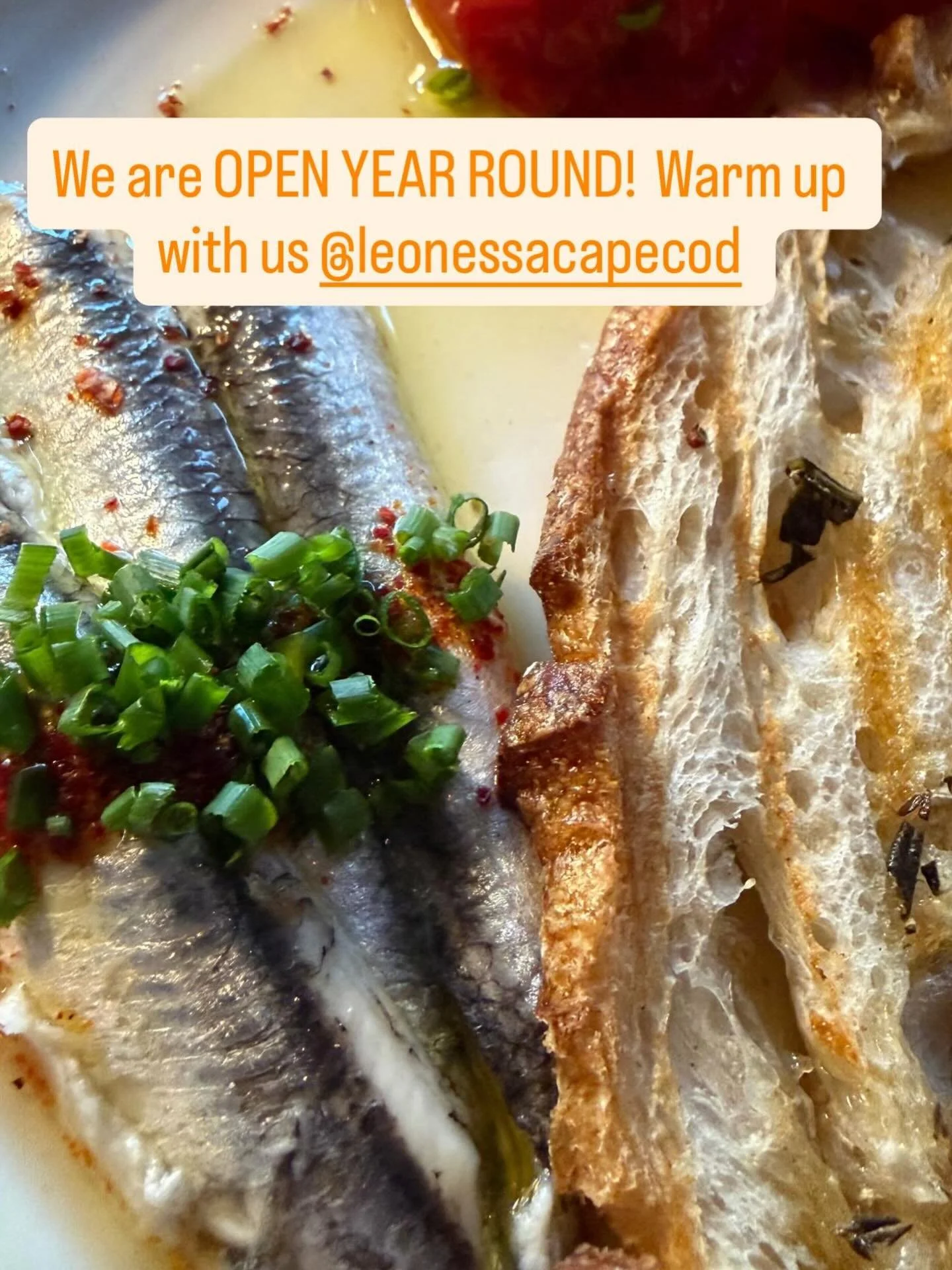 We are OPEN YEAR ROUND! @leonessacapecod will be open for dinner service Wednesday-Sunday 4pm-9pm this winter! Book your reservations today!