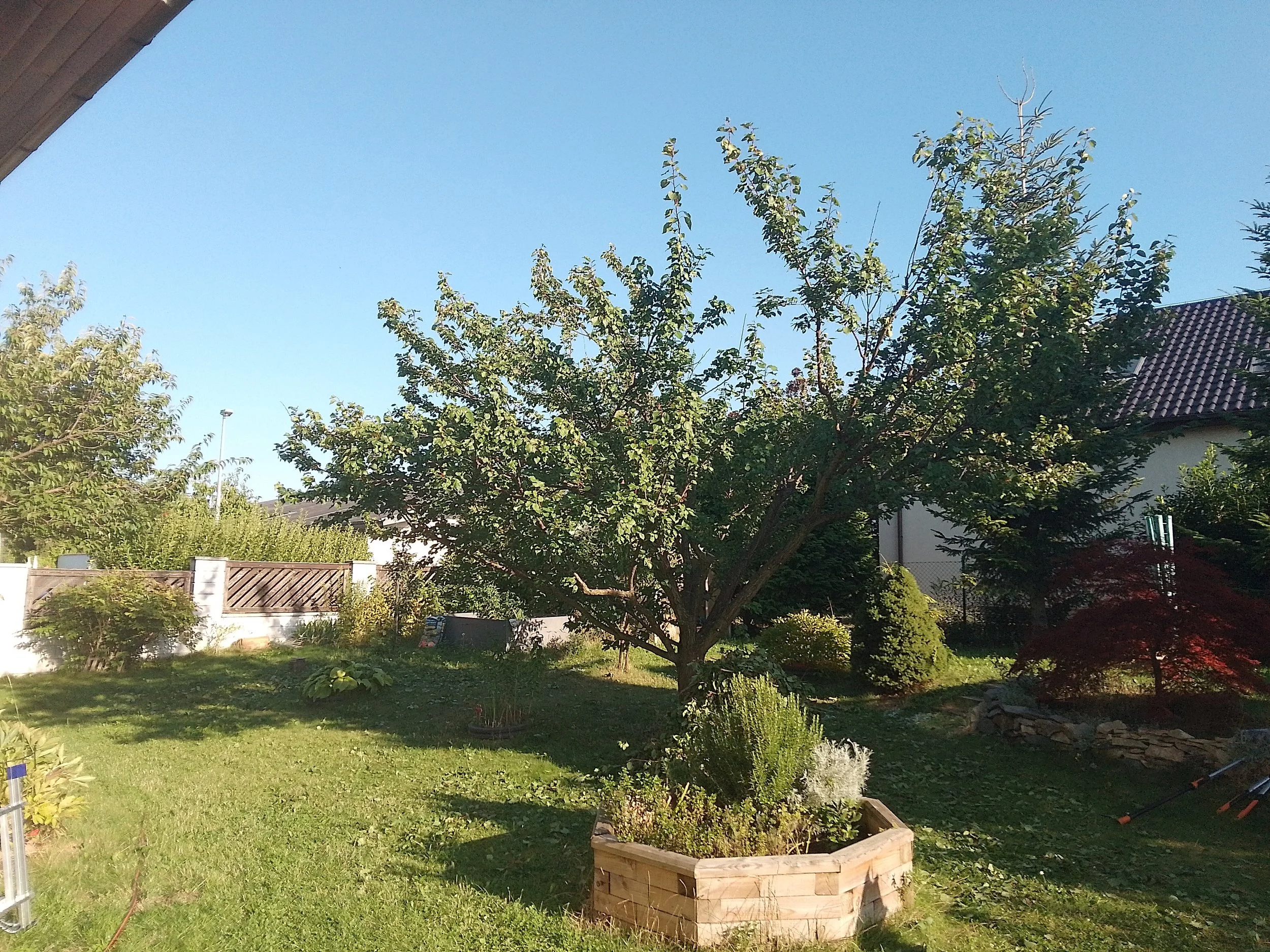 IMG_20230811_181331_HDR.jpg