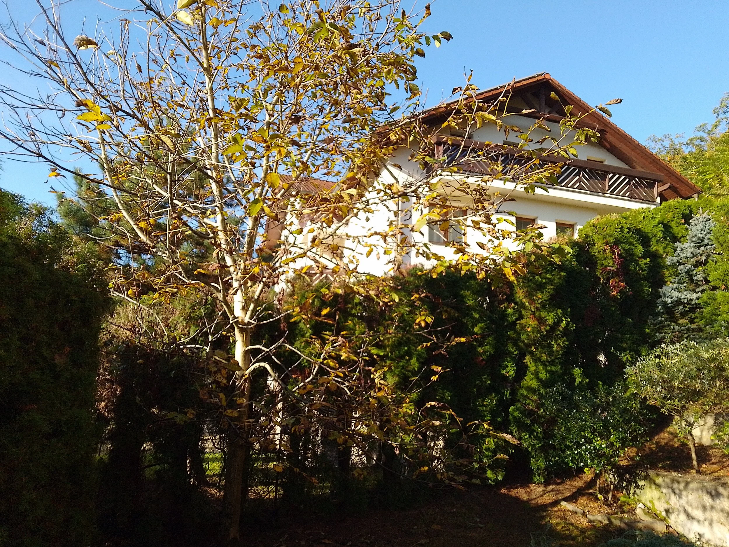 IMG_20241015_095038_HDR.jpg