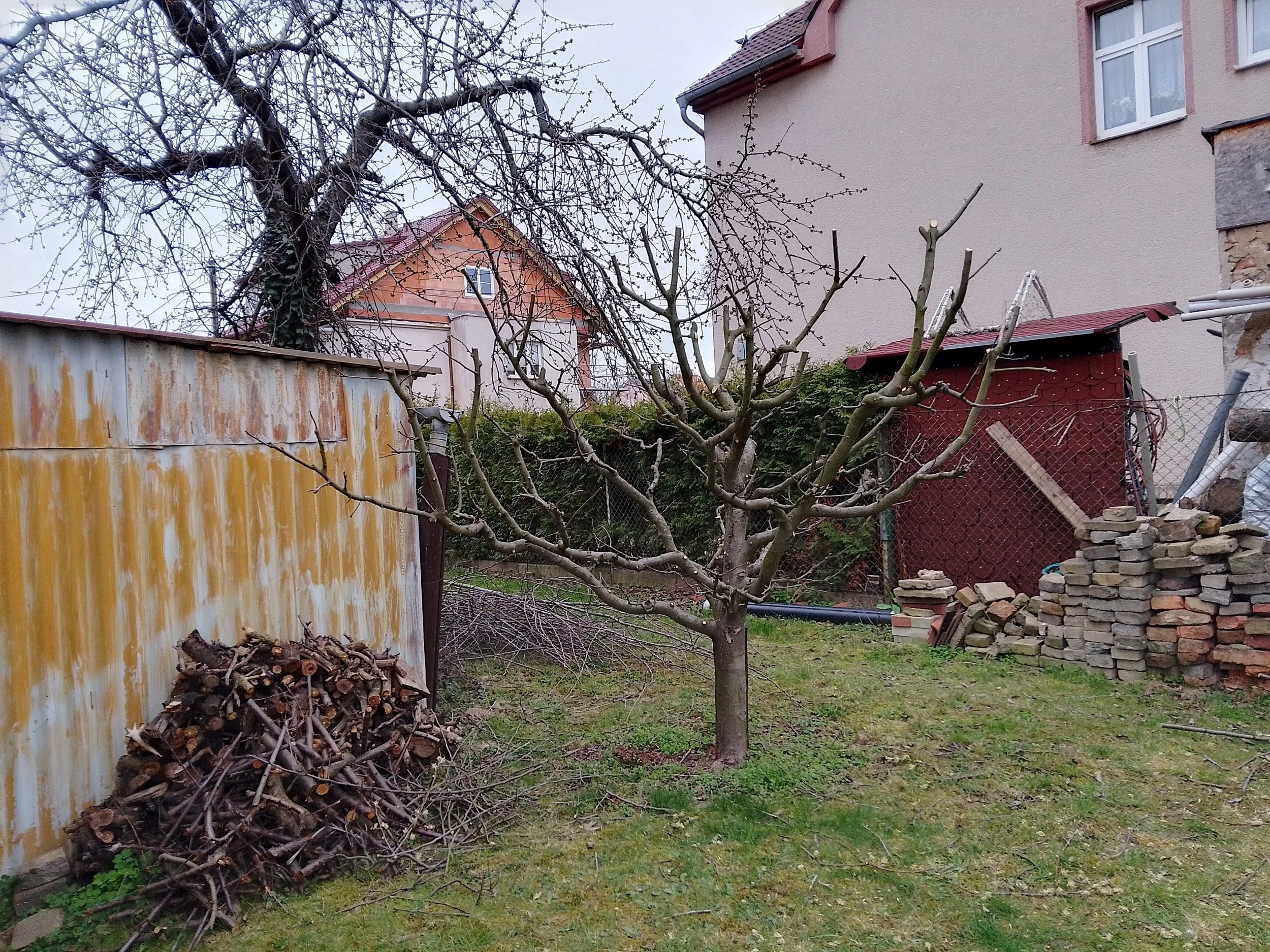 BIMG_20240323_172043_HDR.jpg