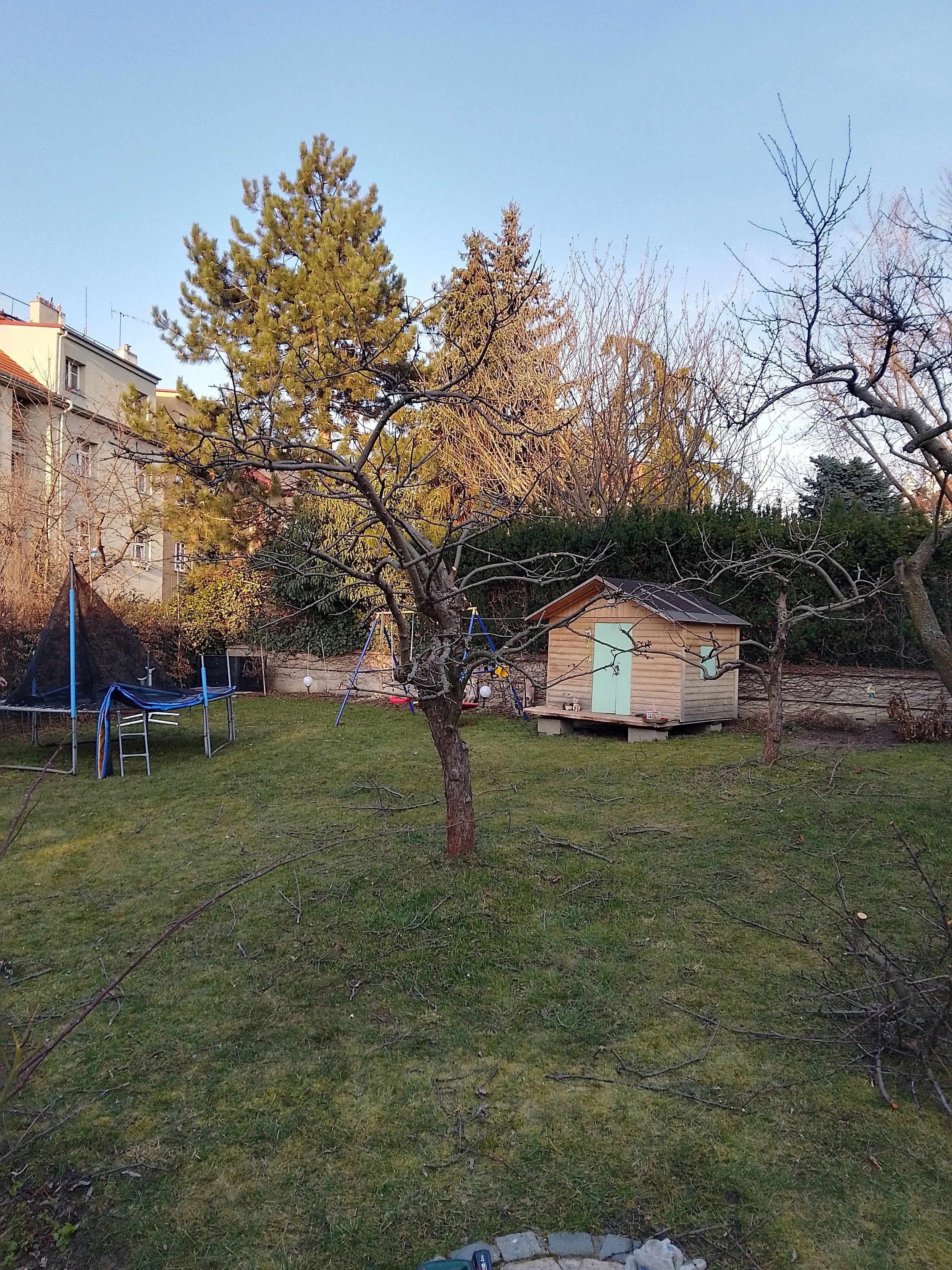 IMG_20250308_165008_HDR.jpg