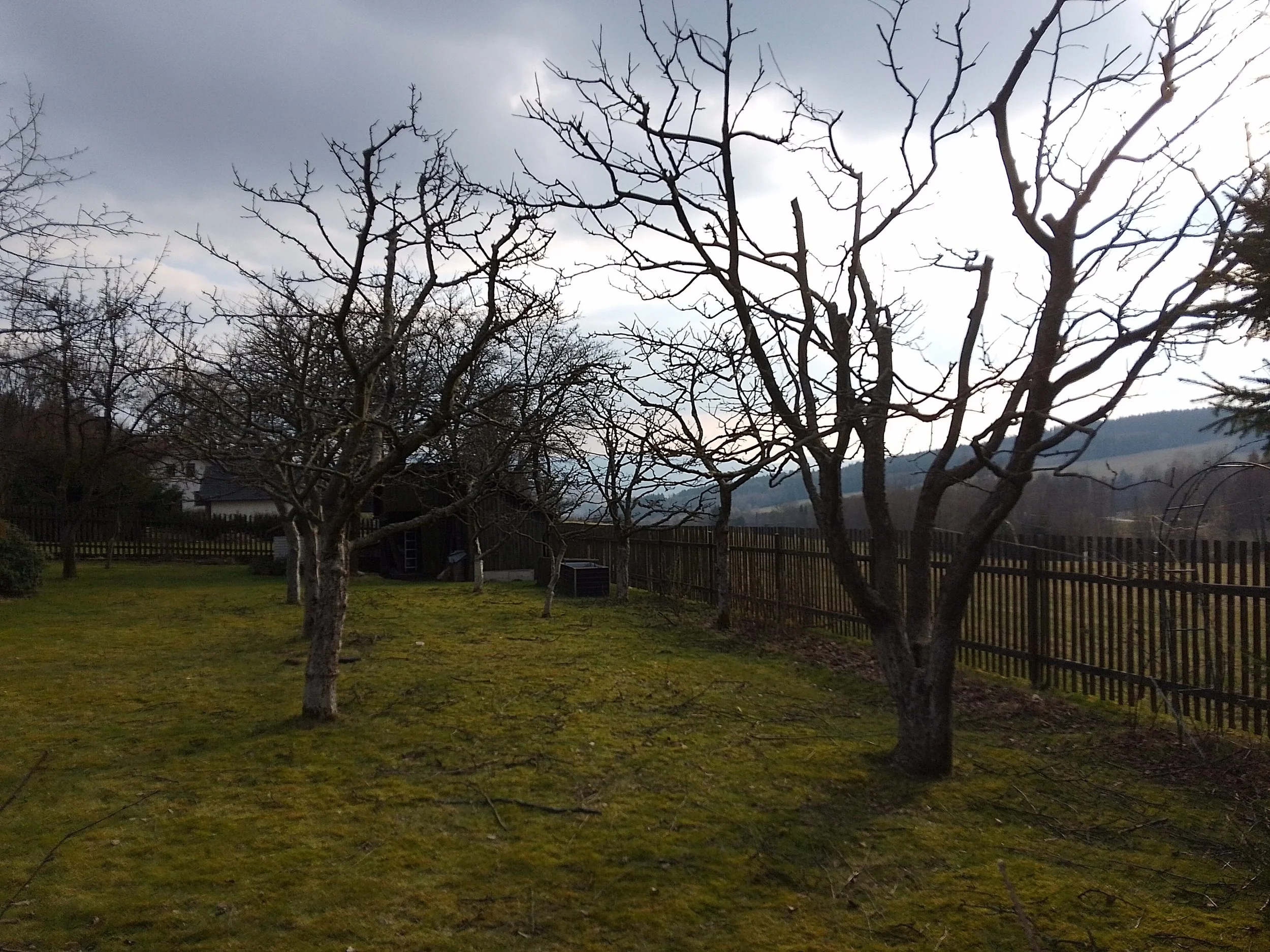 DIMG_20240313_160302_HDR.jpg