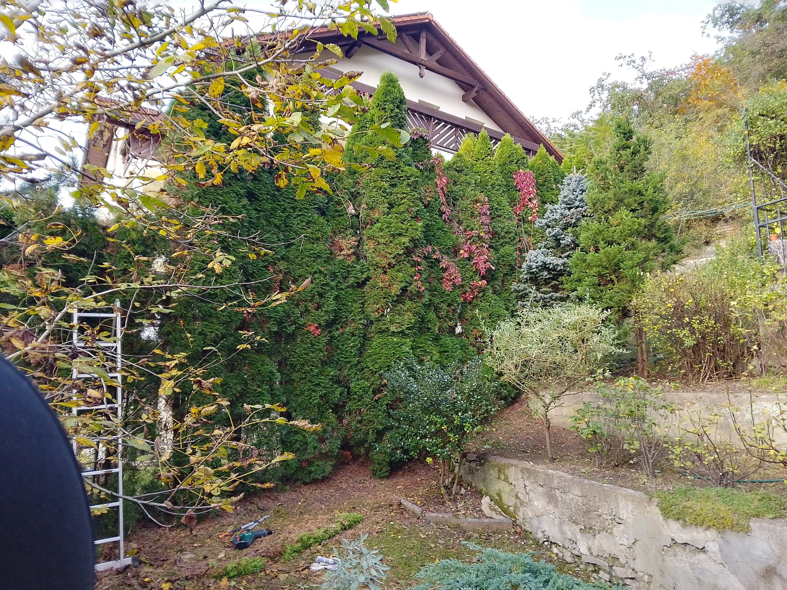 IMG_20241014_102545_HDR.jpg