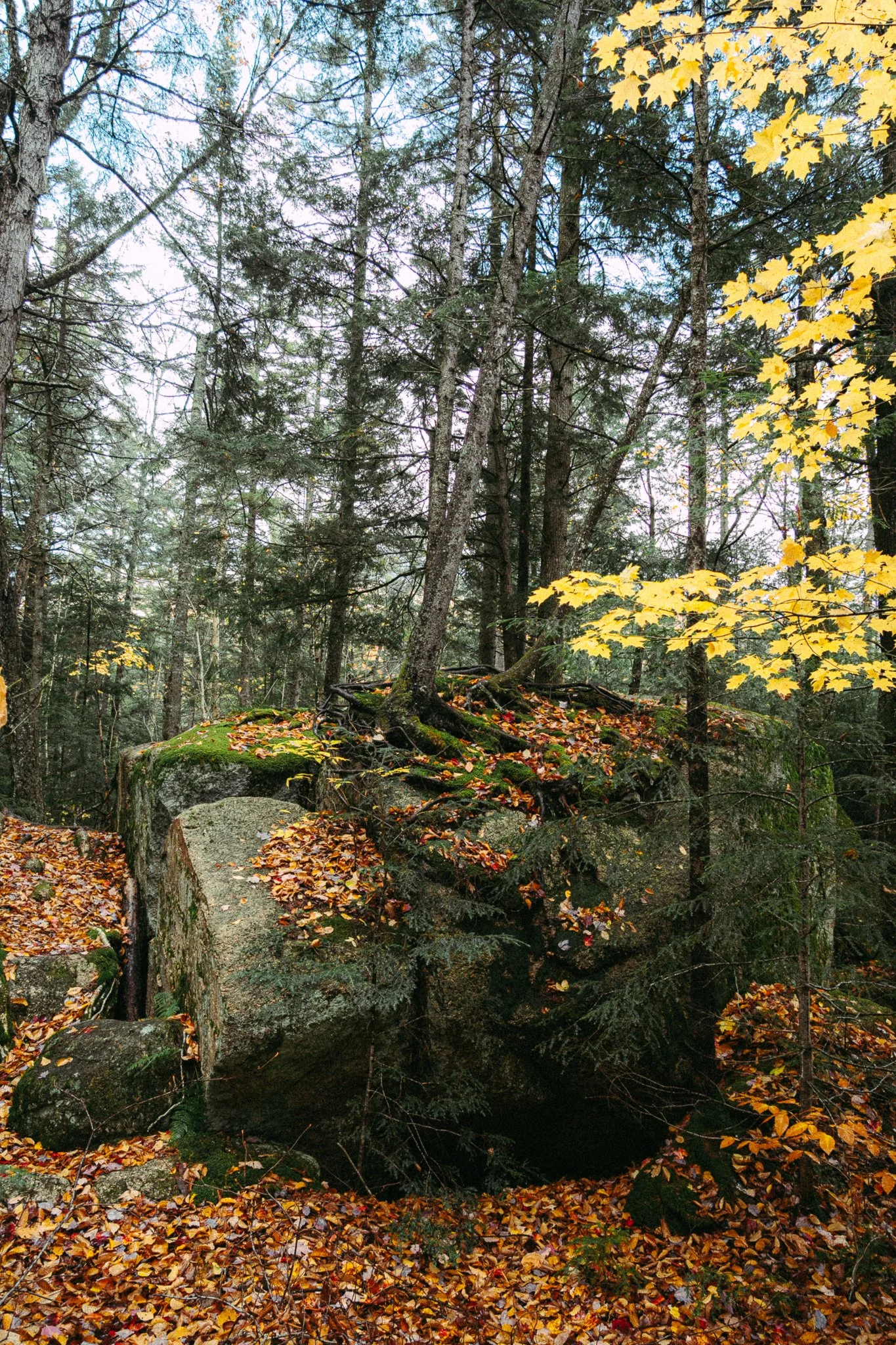 new-england-6.jpg