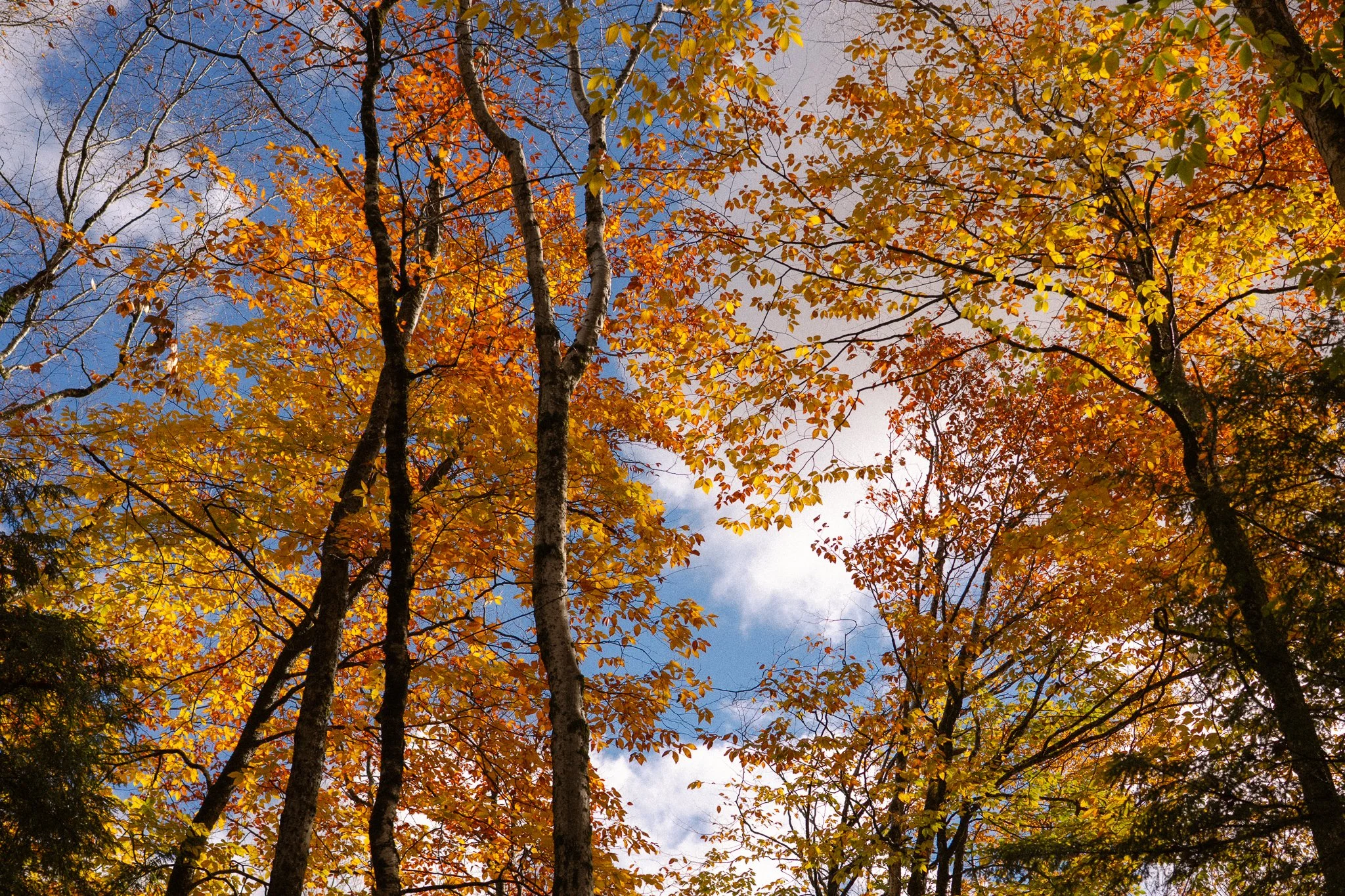 new-england-7.jpg