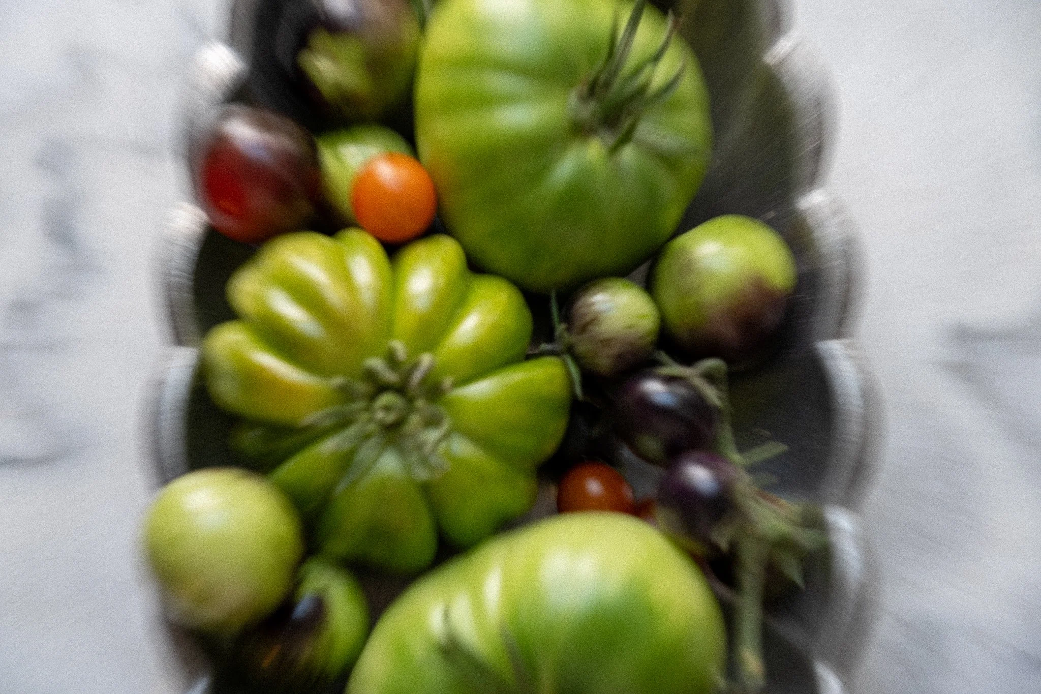 HH-tomatoes-14.jpg