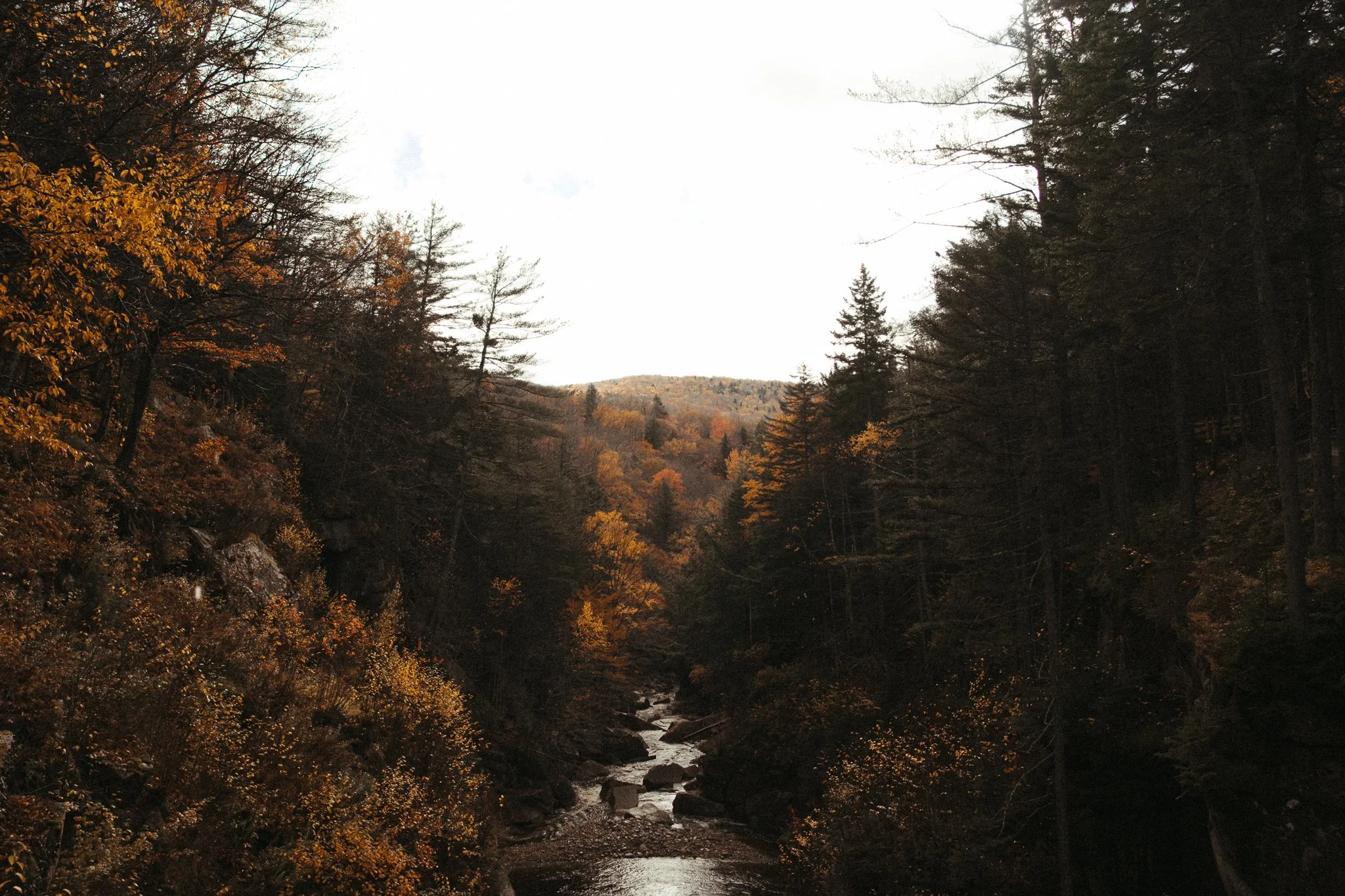 new-england-4.jpg