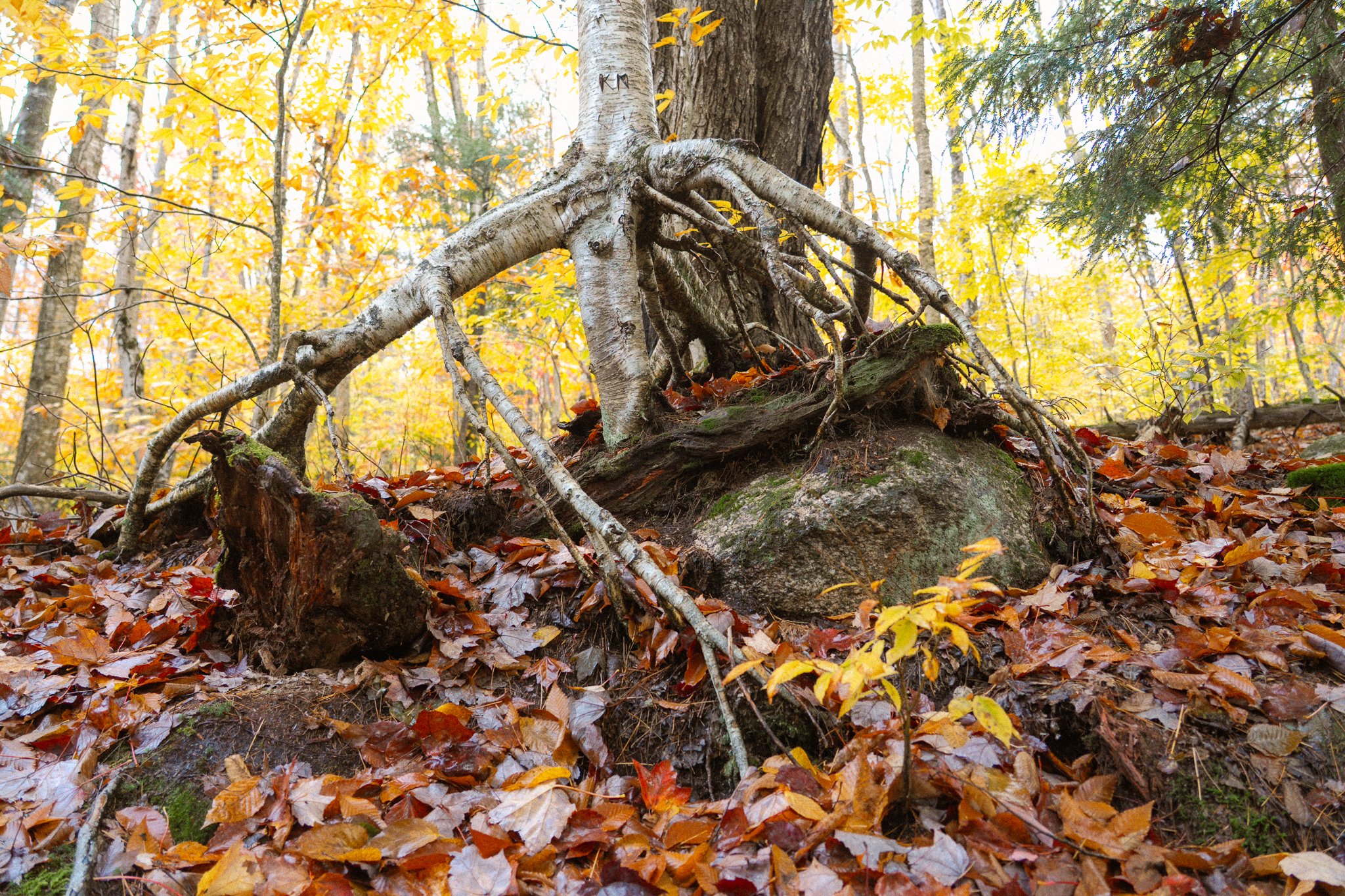 new-england-3.jpg