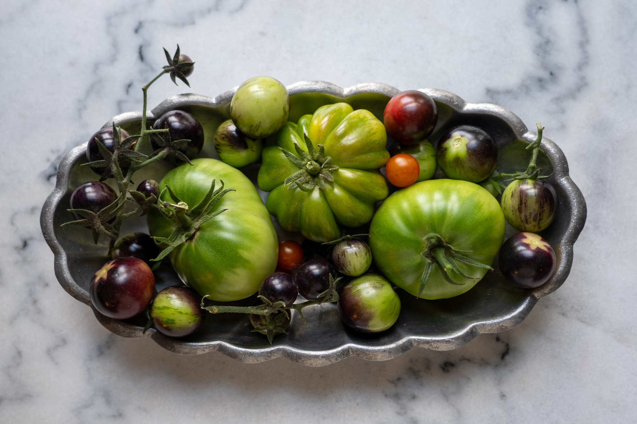 HH-tomatoes-15.jpg