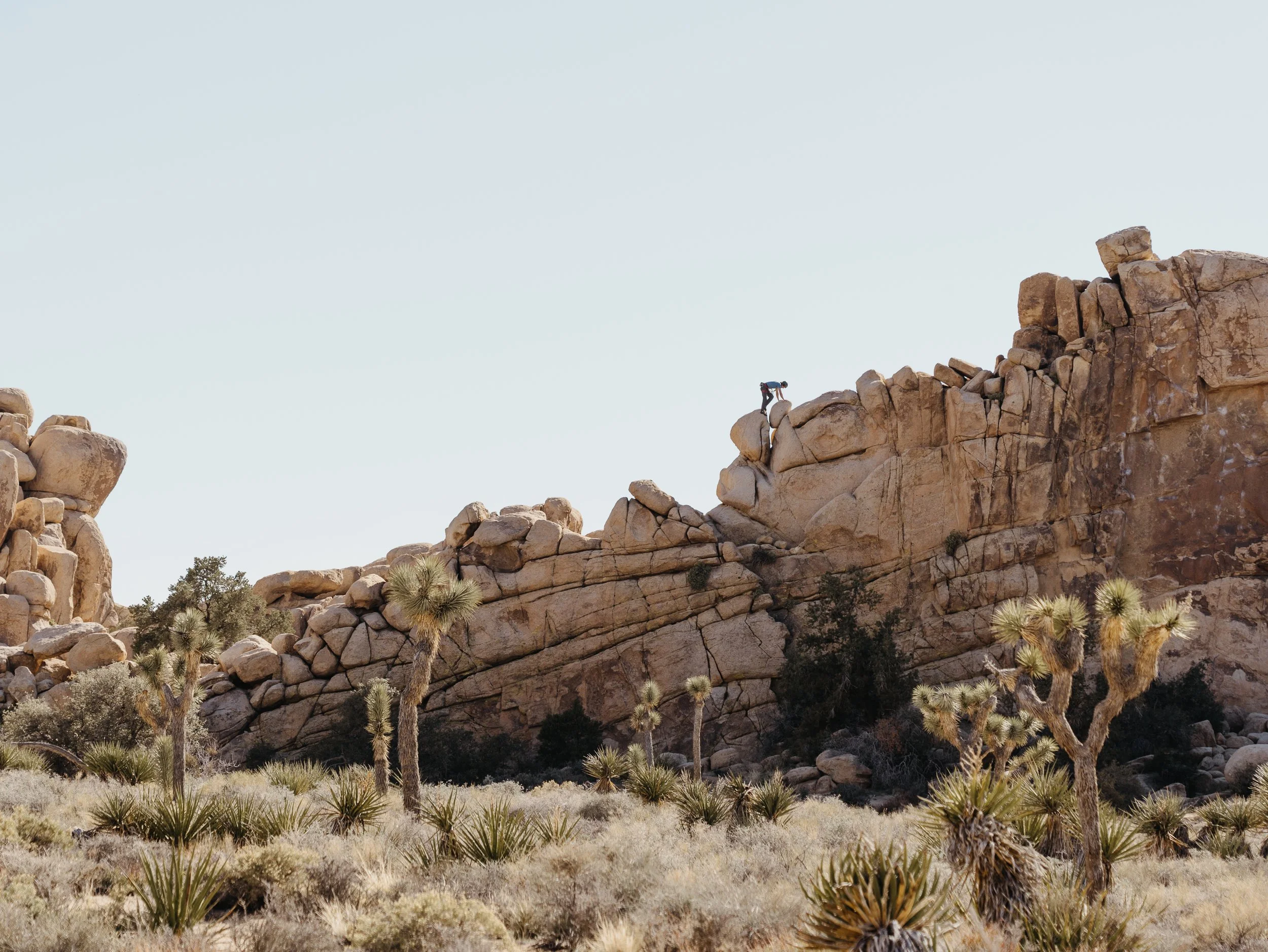 A person climbing rocky terrain in a desert landscape with Joshua trees and large boulders under a clear sky.