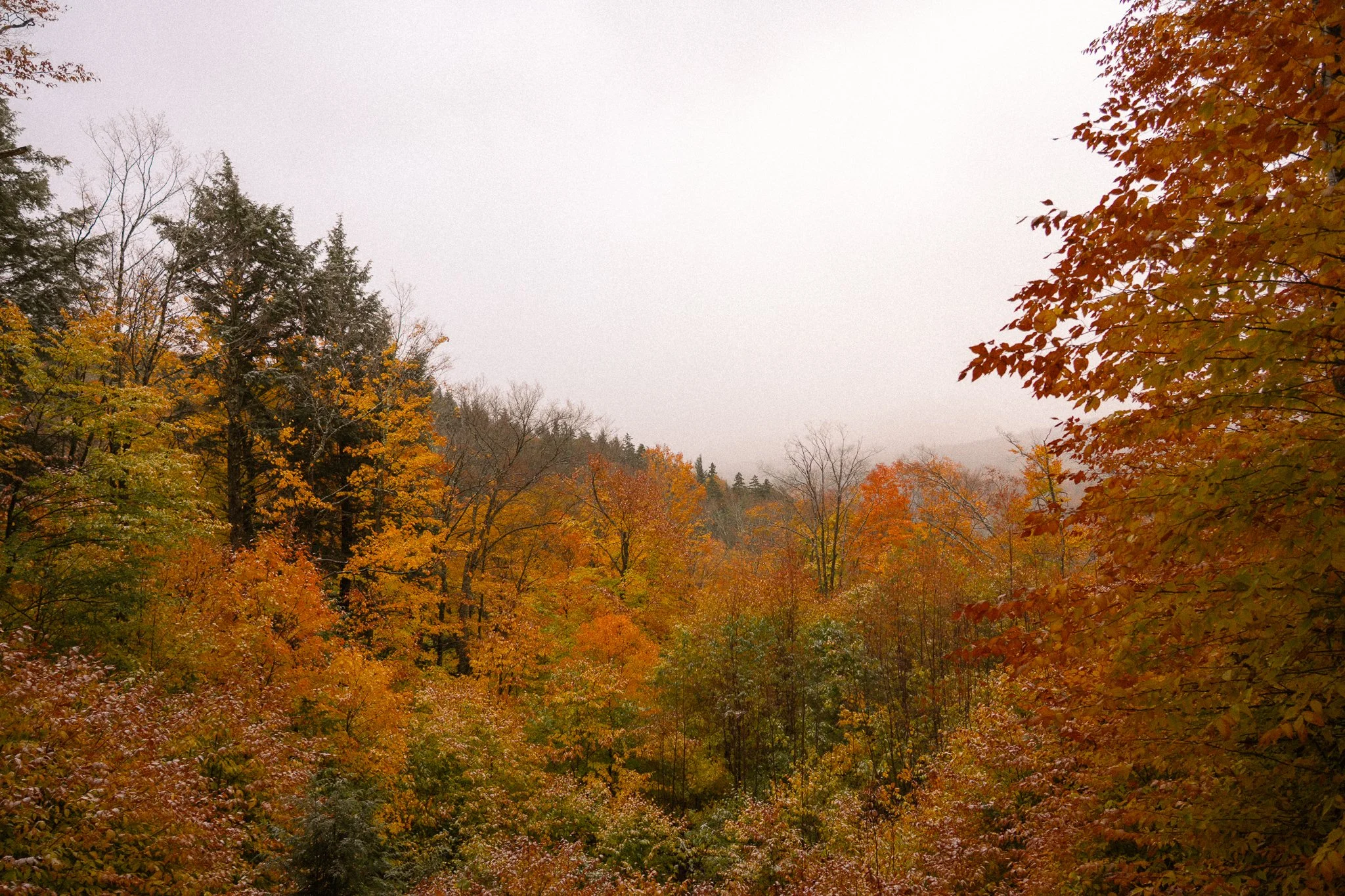 new-england-2.jpg