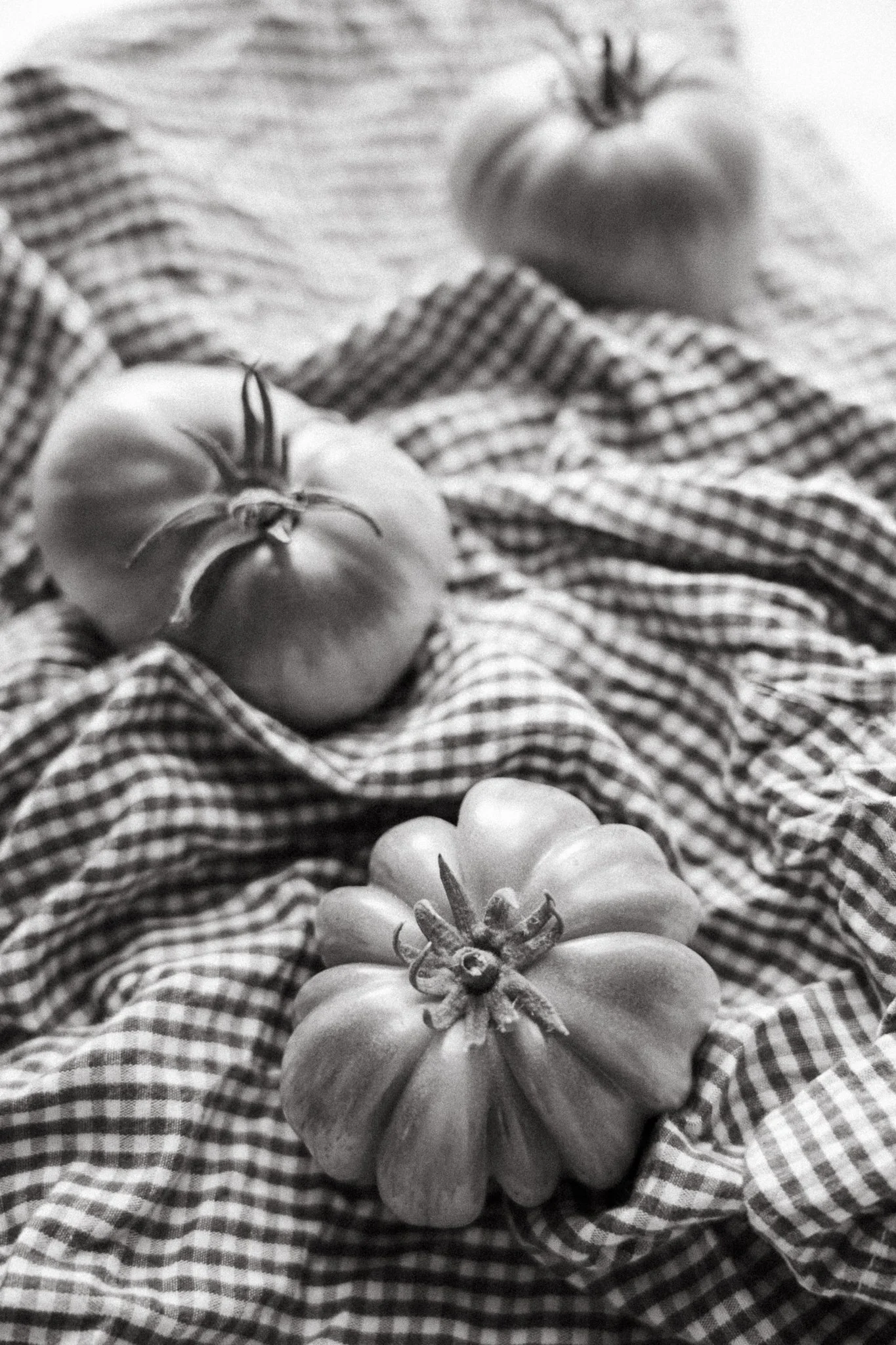 HH-tomatoes-9.jpg