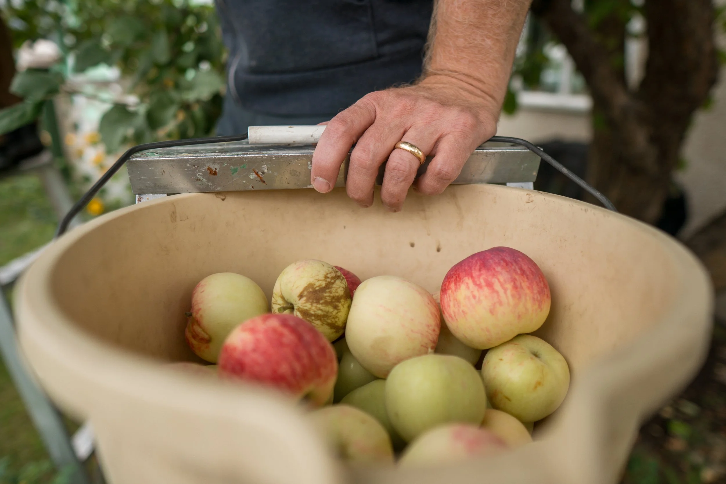 Folsom, Gemma-28.jpg