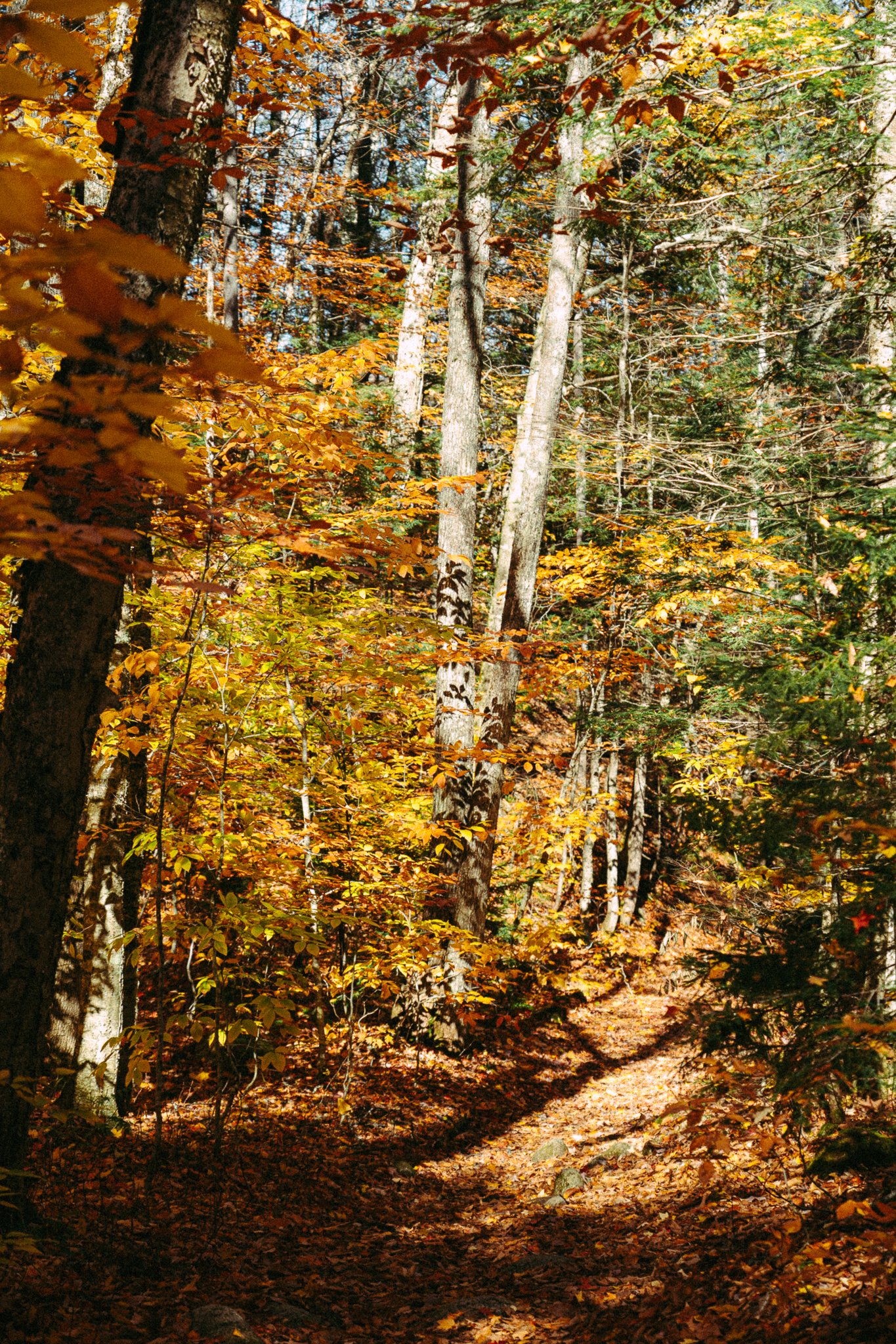new-england-37.jpg
