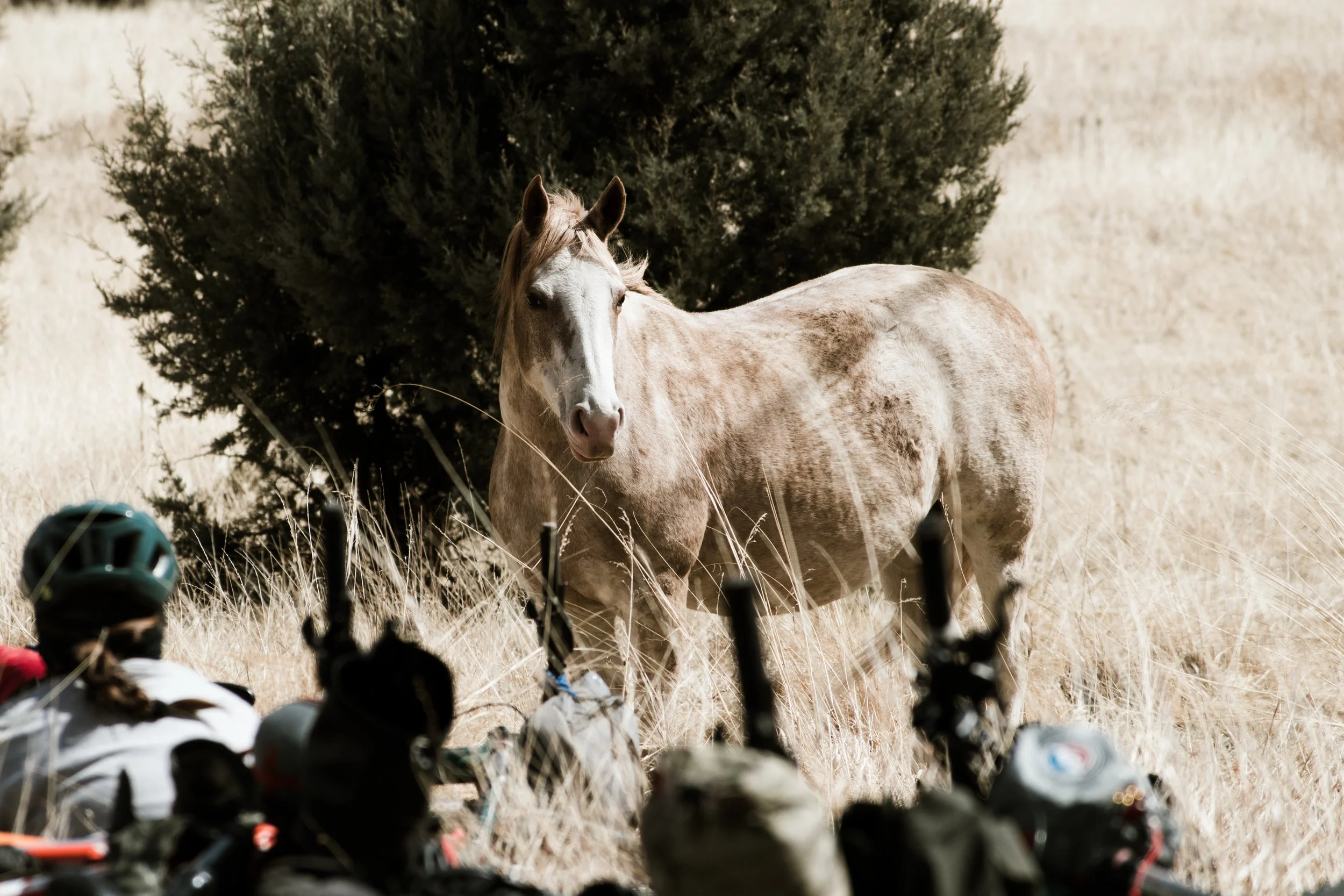 Folsom, GemmaRUI-241.jpg
