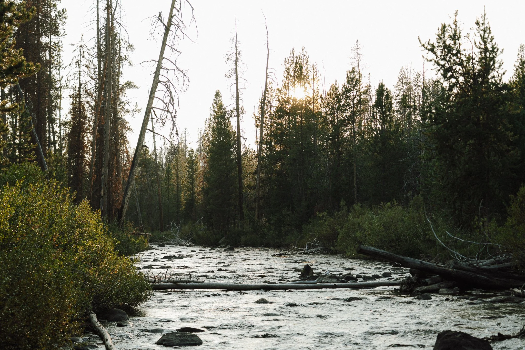Conservation Voters for Idaho