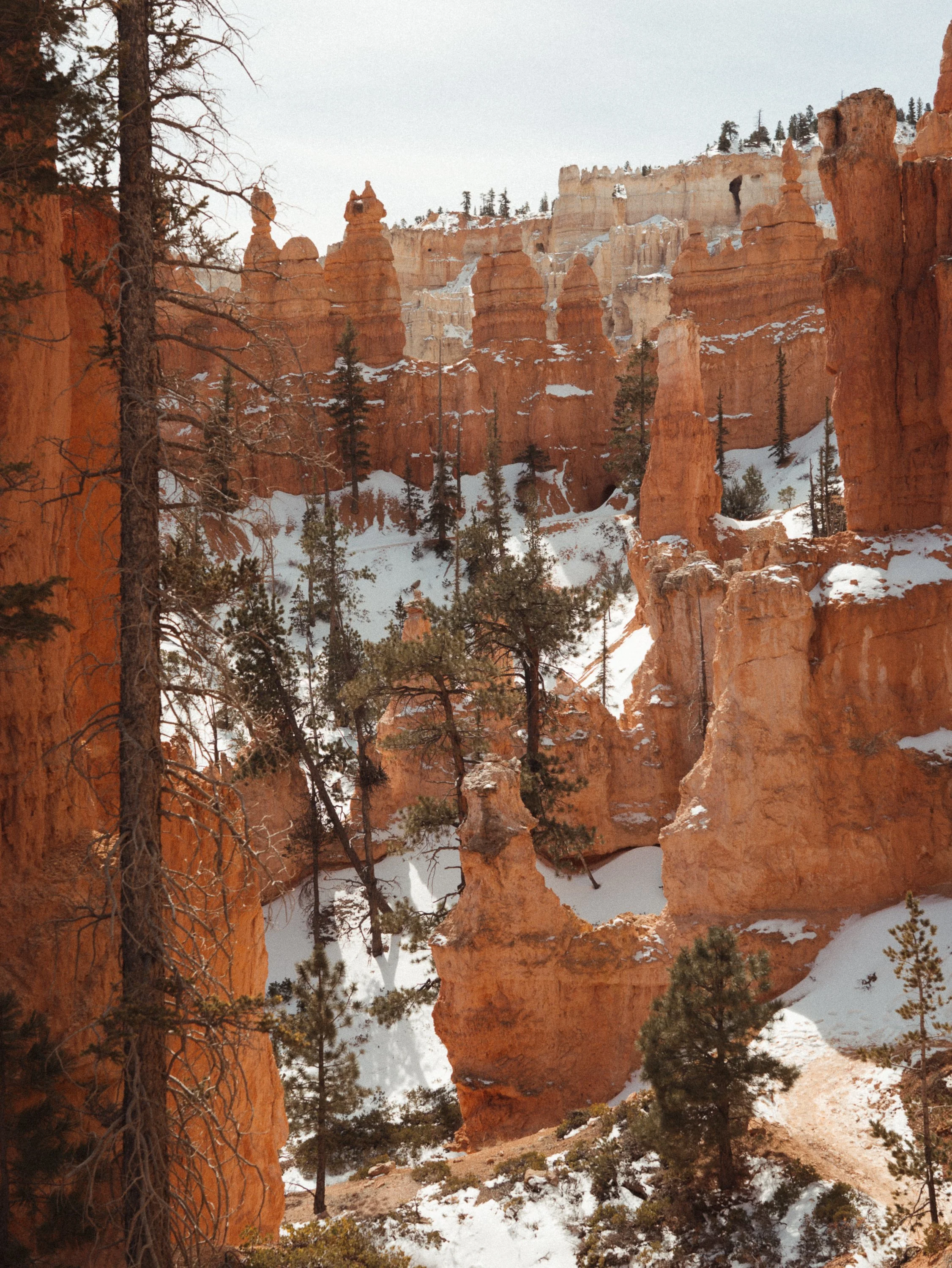 utah-220.jpg