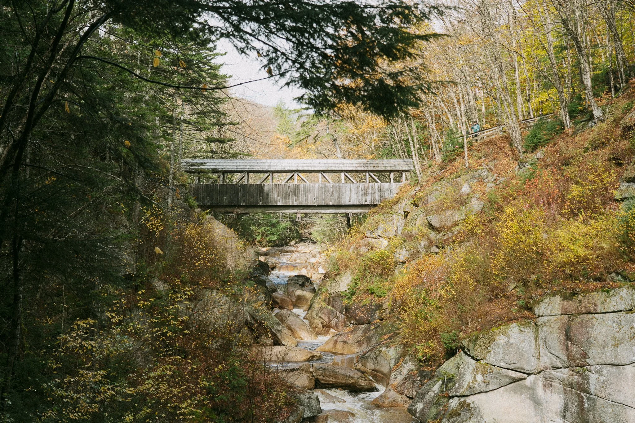 new-england-5.jpg
