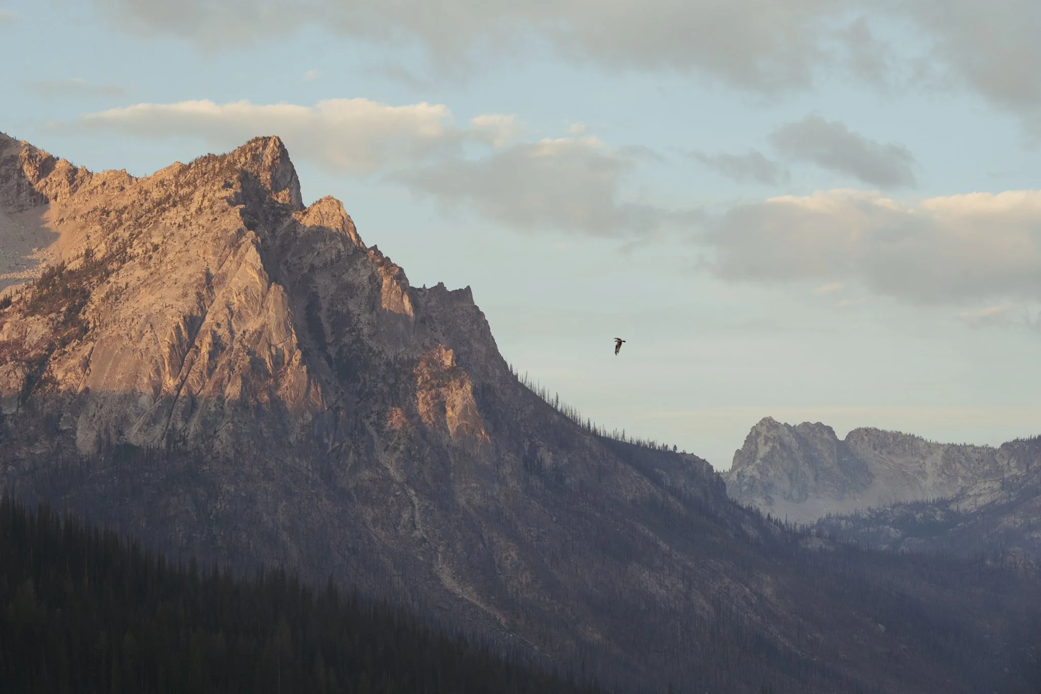 Stanley-104.jpg