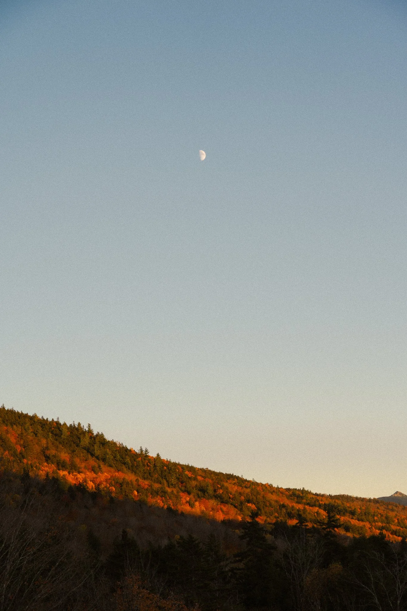 new-england-45.jpg