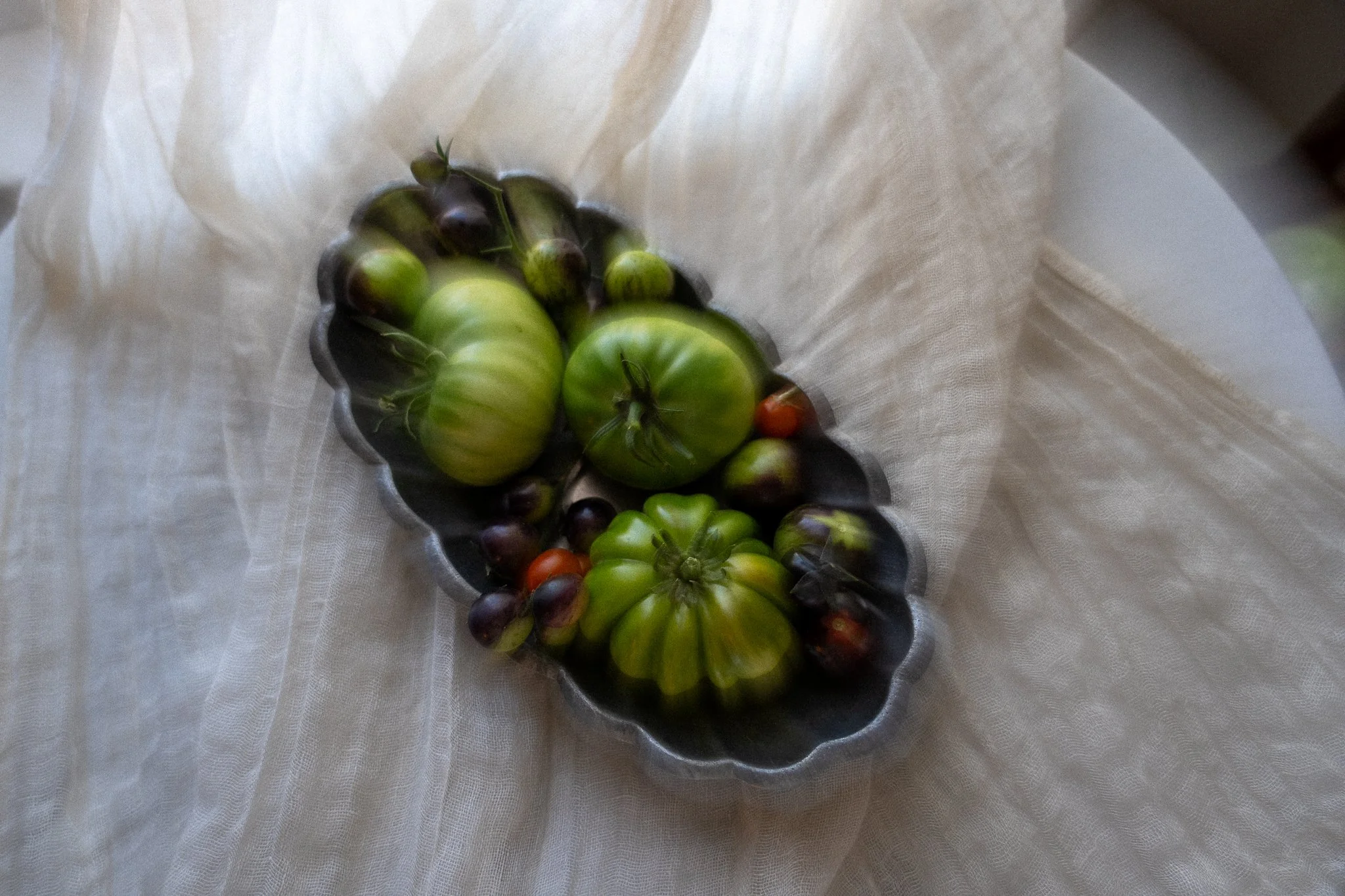 HH-tomatoes-4.jpg