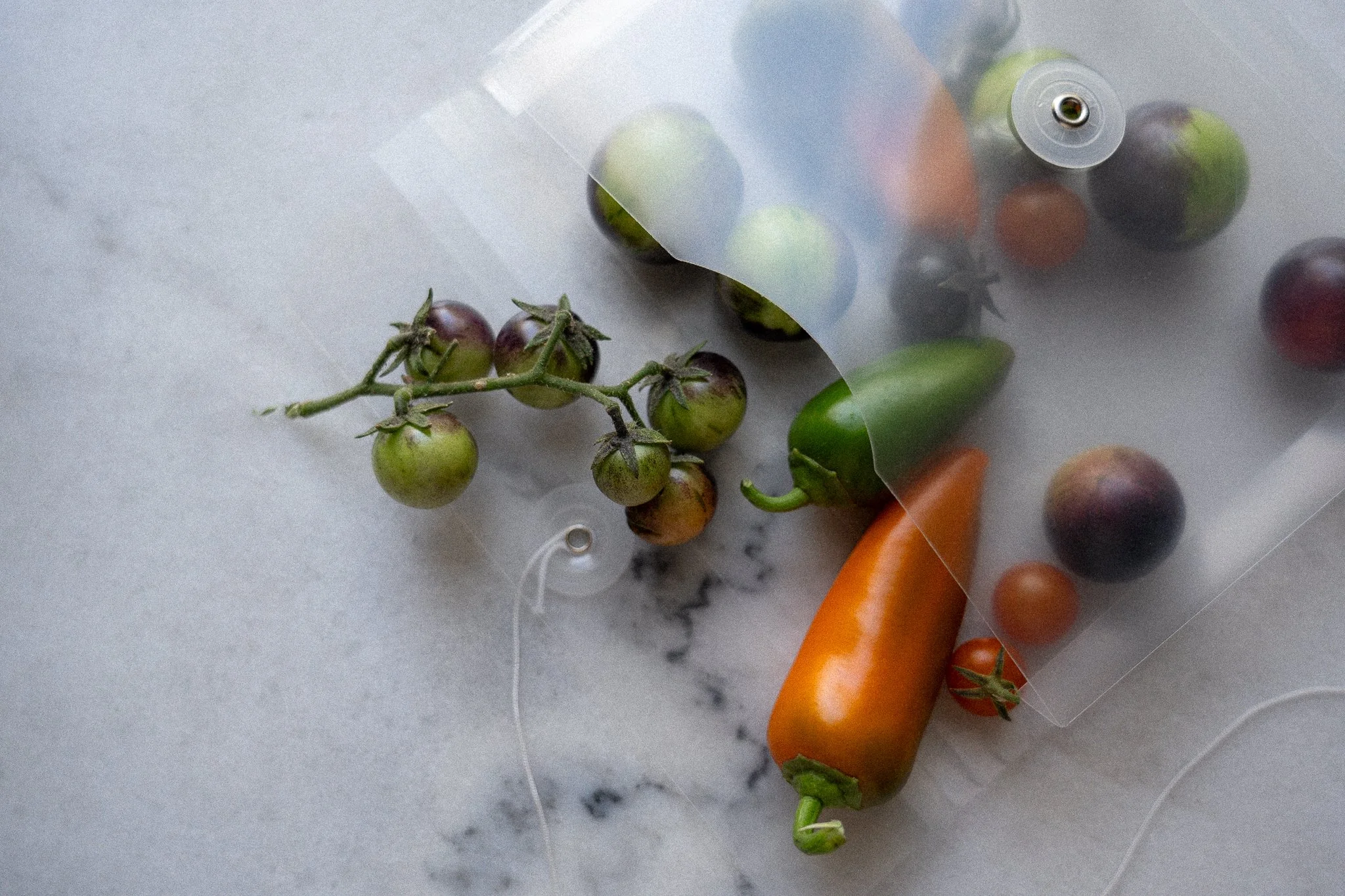 HH-tomatoes-3.jpg