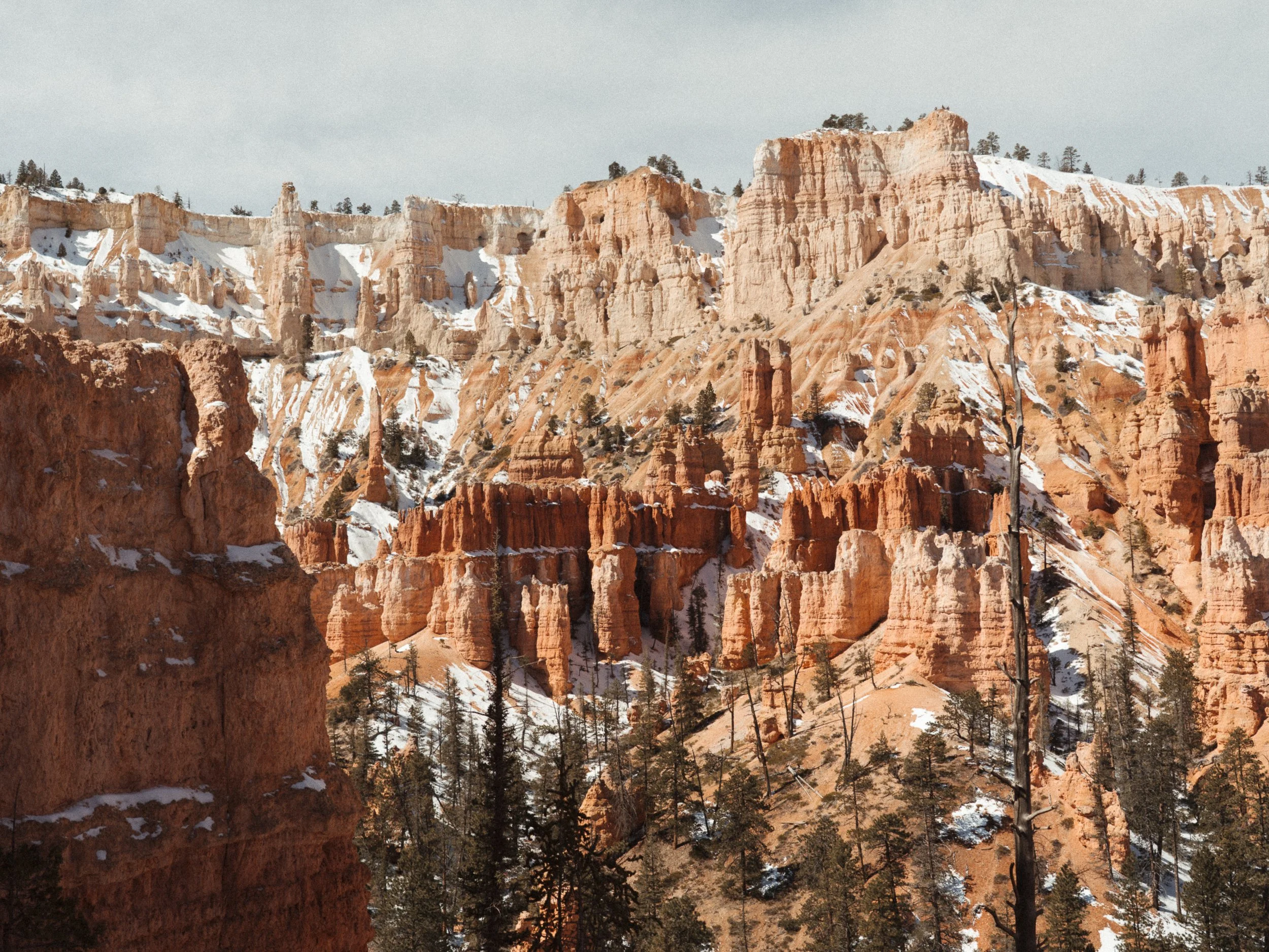 utah-214.jpg